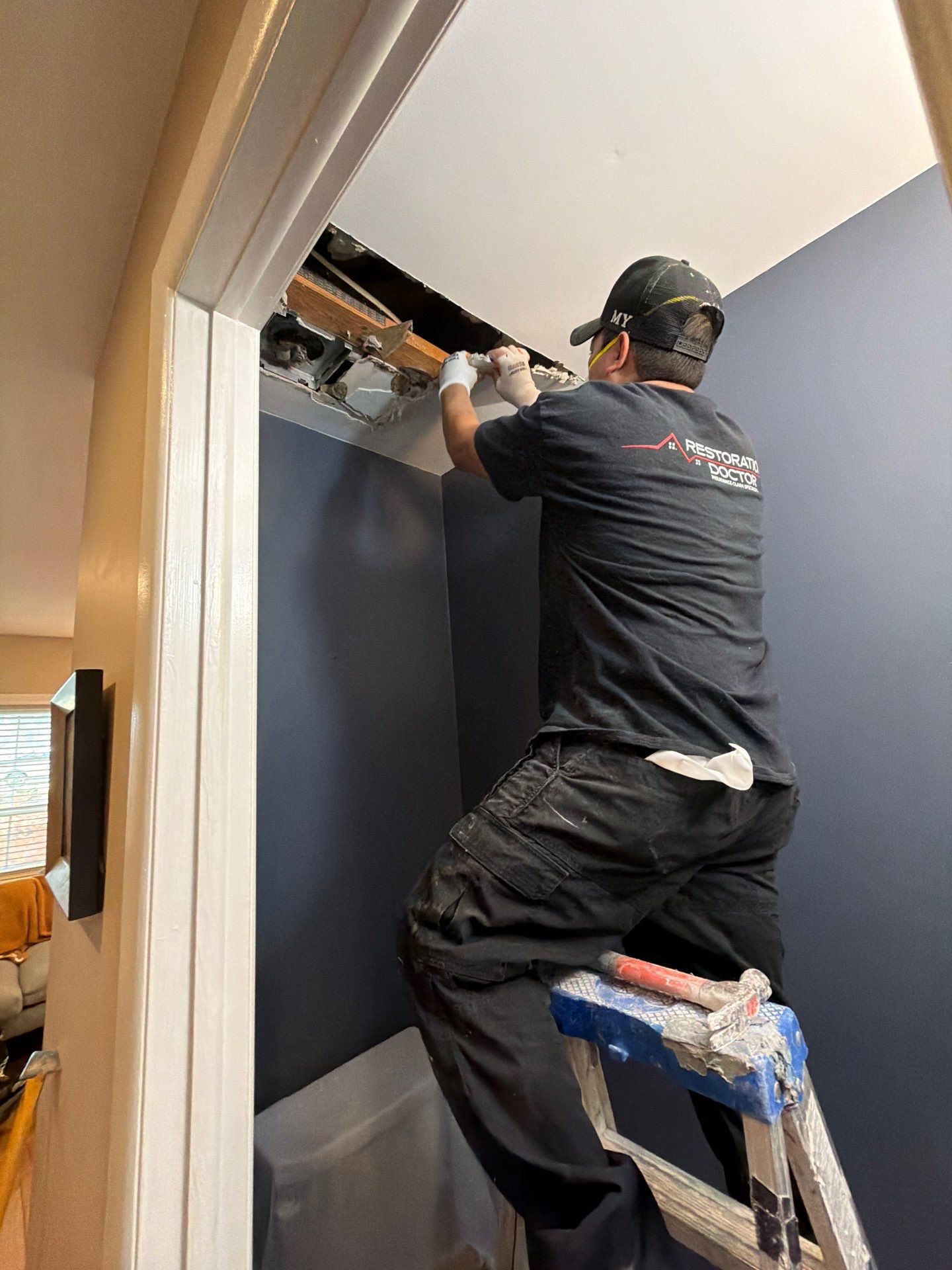 Wall section prepared for replacement after mold-affected material removal.