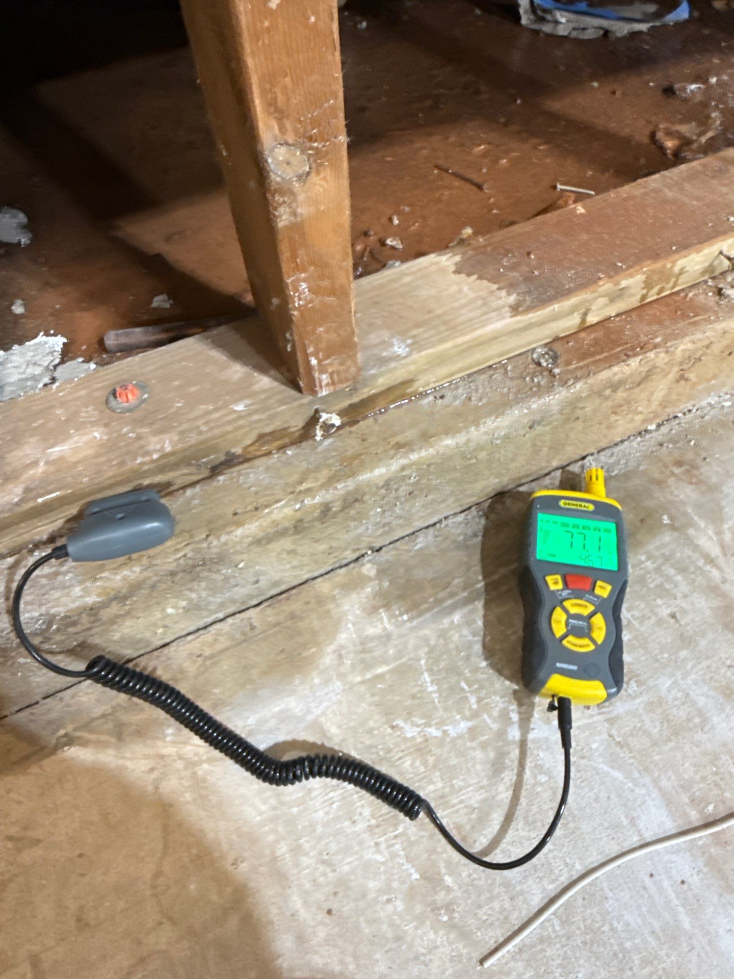 Dehumidifiers and air movers positioned throughout affected area to extract moisture from walls and subfloor.