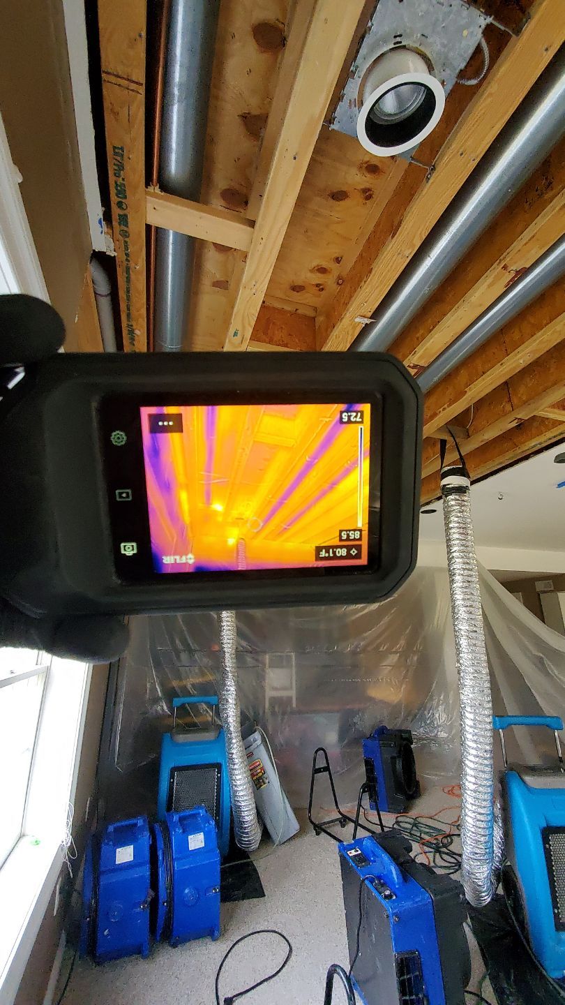 Dehumidification equipment positioned to manage moisture extraction during drying phase.