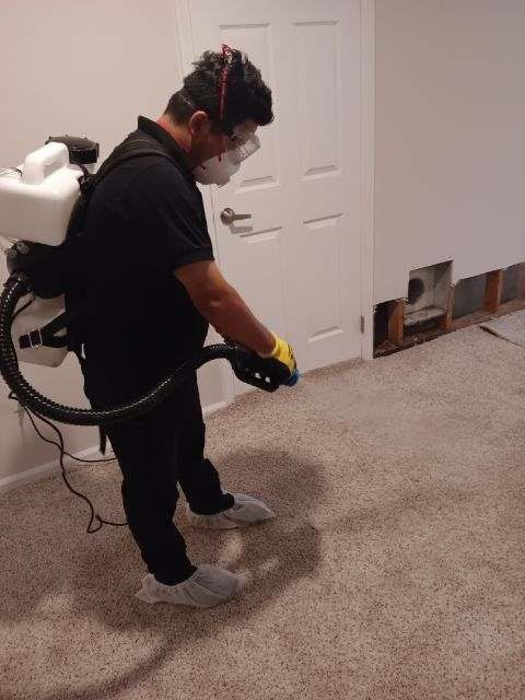 Water-damaged carpet and subfloor in Falls Church home during initial assessment and moisture documentation.