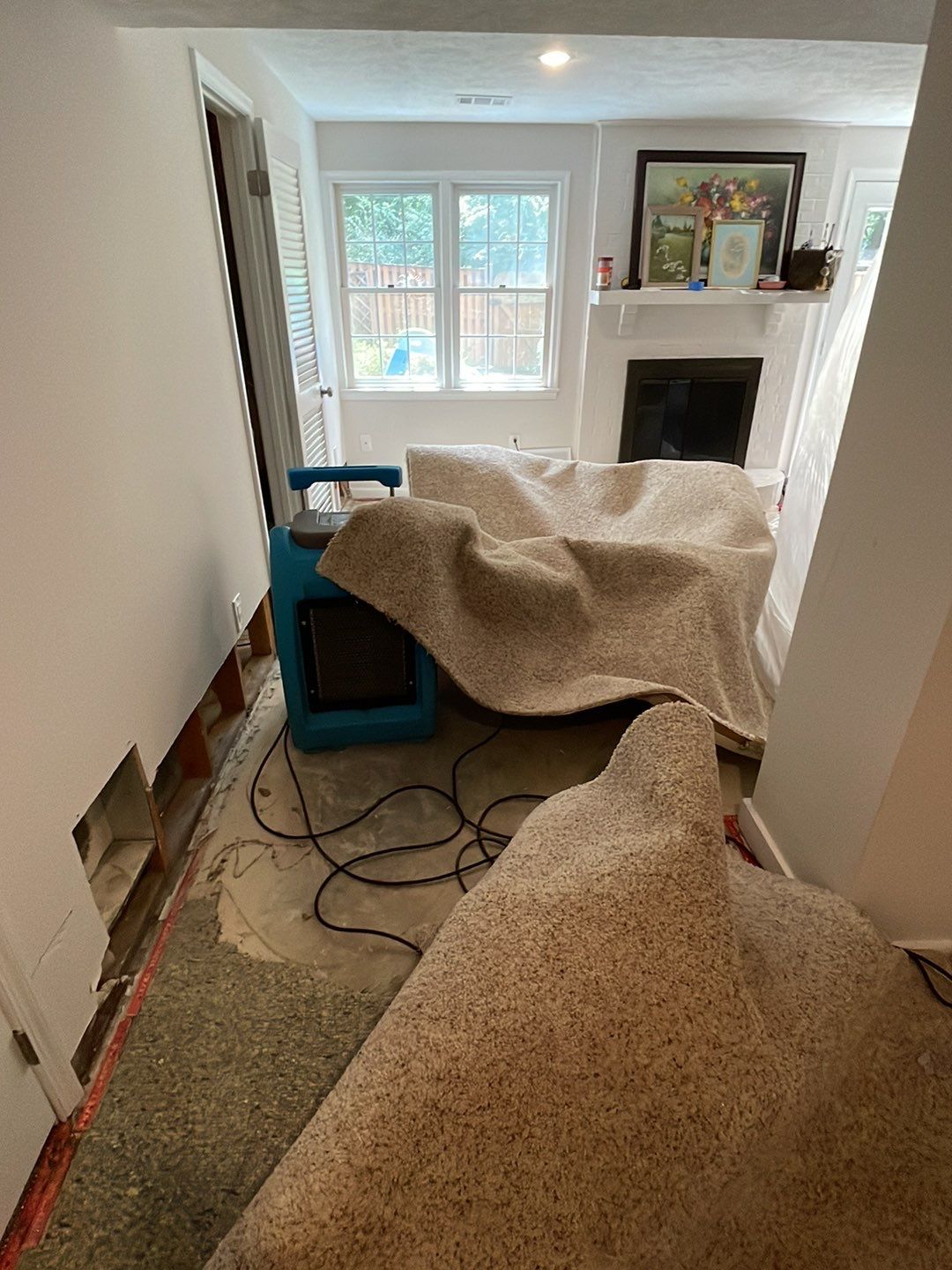 Dehumidifier and air movers positioned for structural drying in affected room.