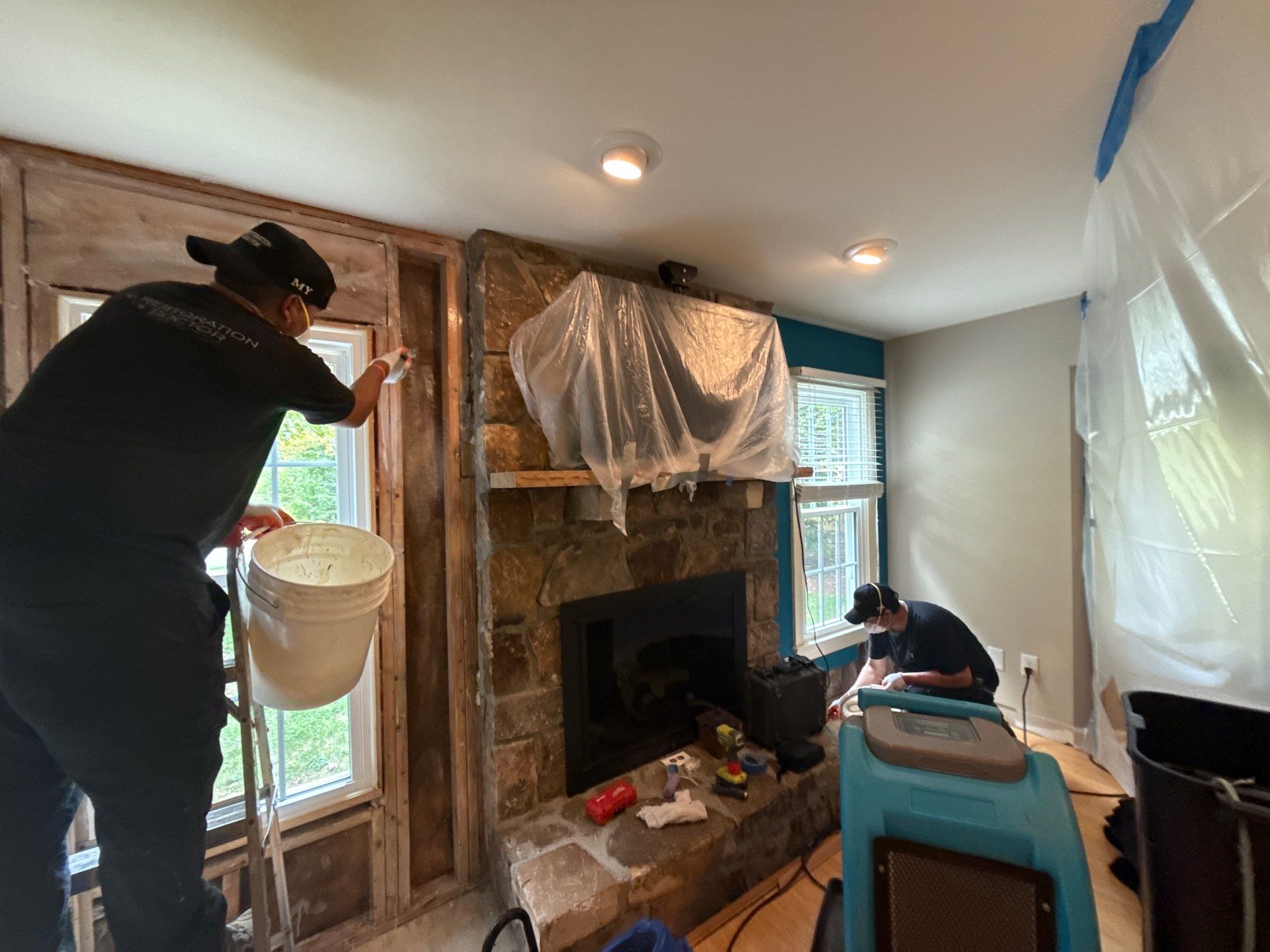 Wall section removed to expose mold-affected framing and substrate.