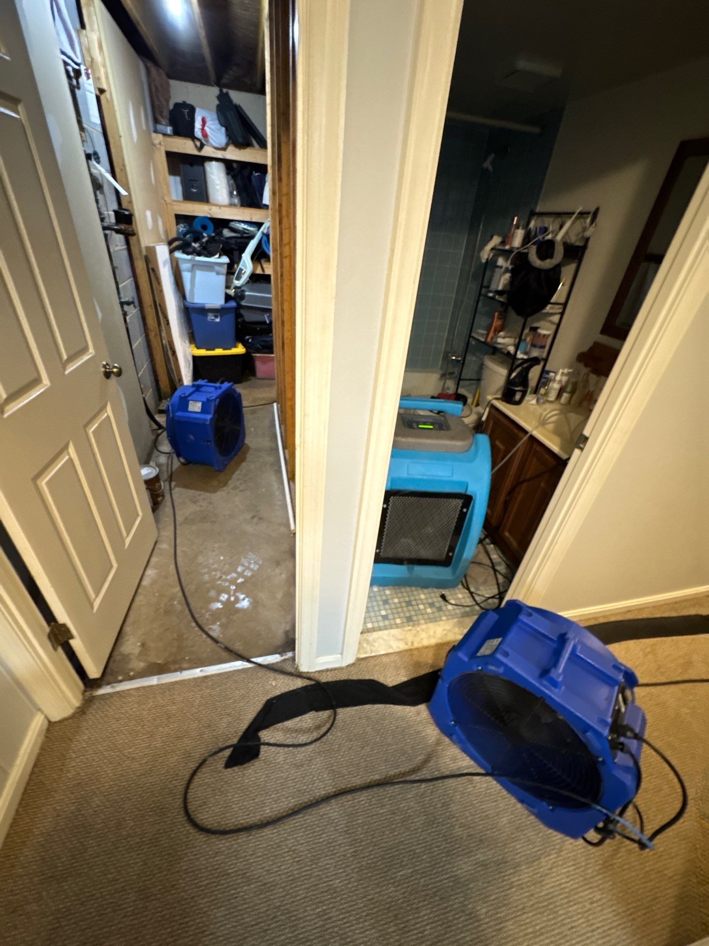 Containment barrier removed after mold remediation completion in McLean home.