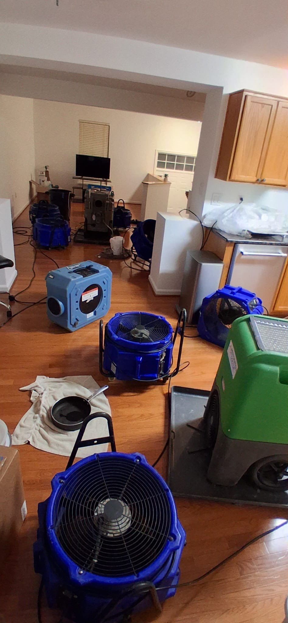 Thermal imaging scan identifying moisture patterns during mold remediation assessment in Ashburn.