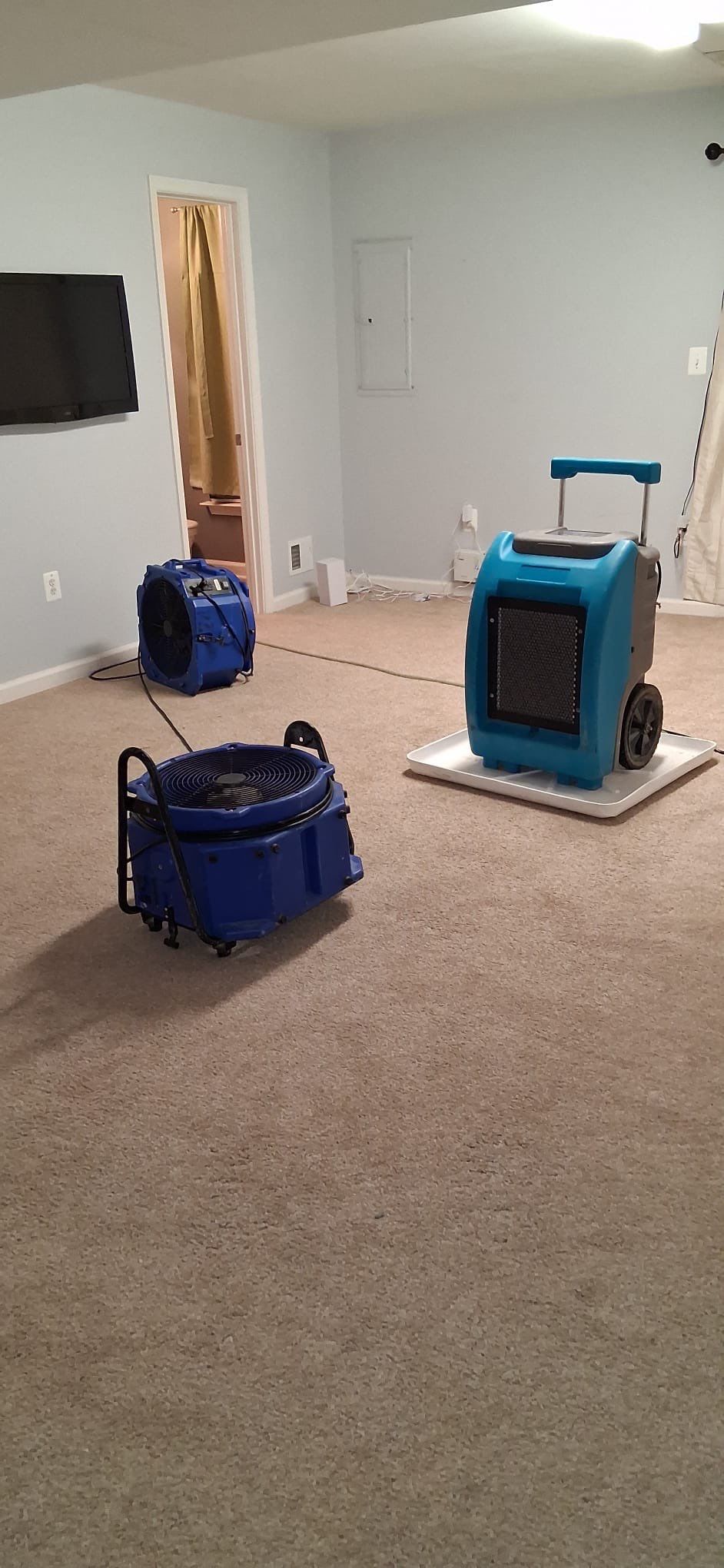 Remediated surface after mold removal and antimicrobial treatment, ready for final inspection.