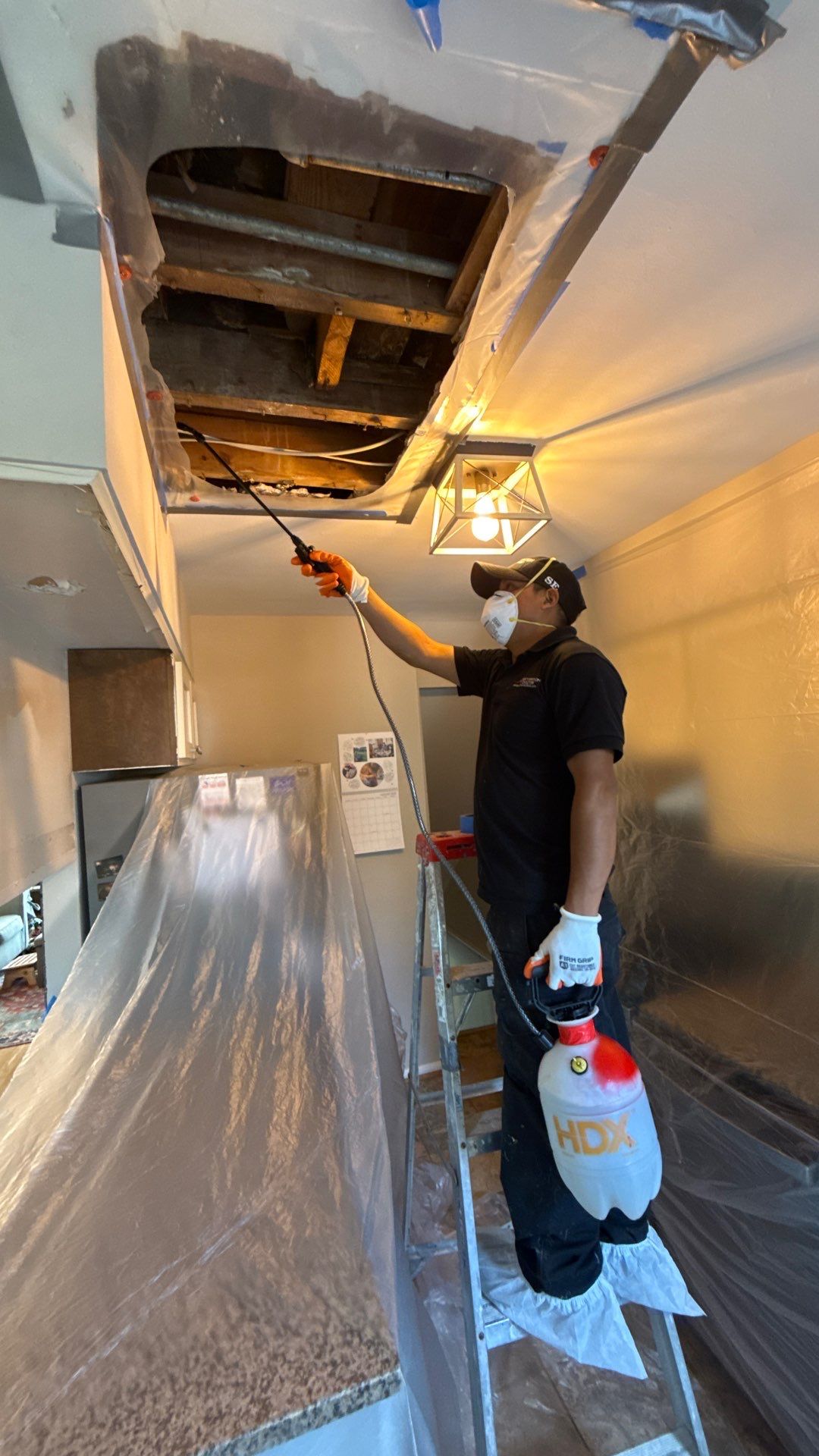 Containment and antimicrobial treatment application in Arlington mold remediation work area.