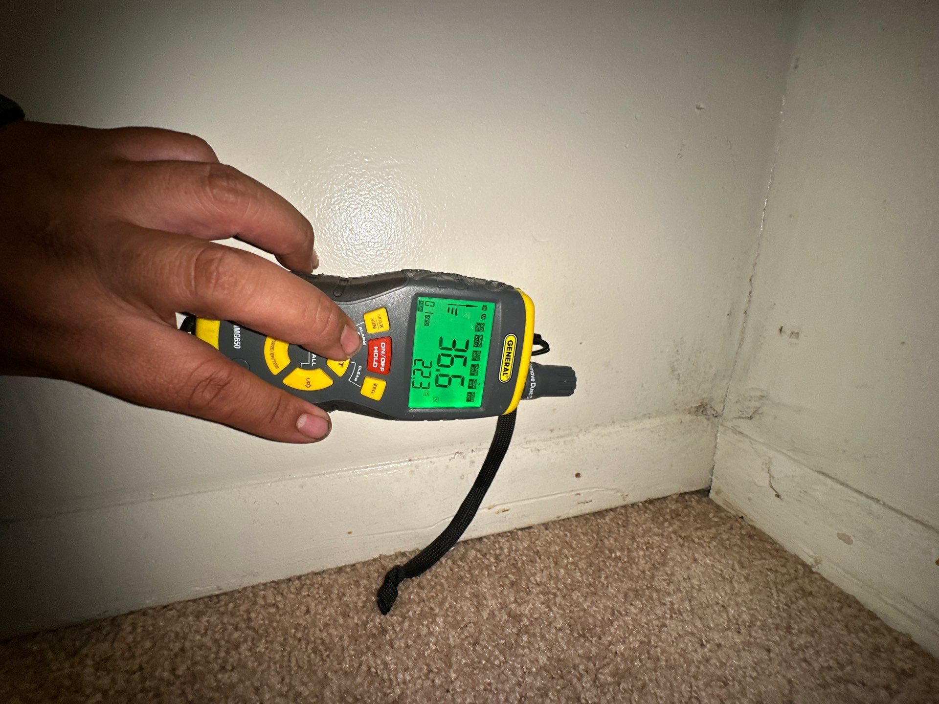 Final inspection of dried and treated surfaces following mold remediation completion in Purcellville.