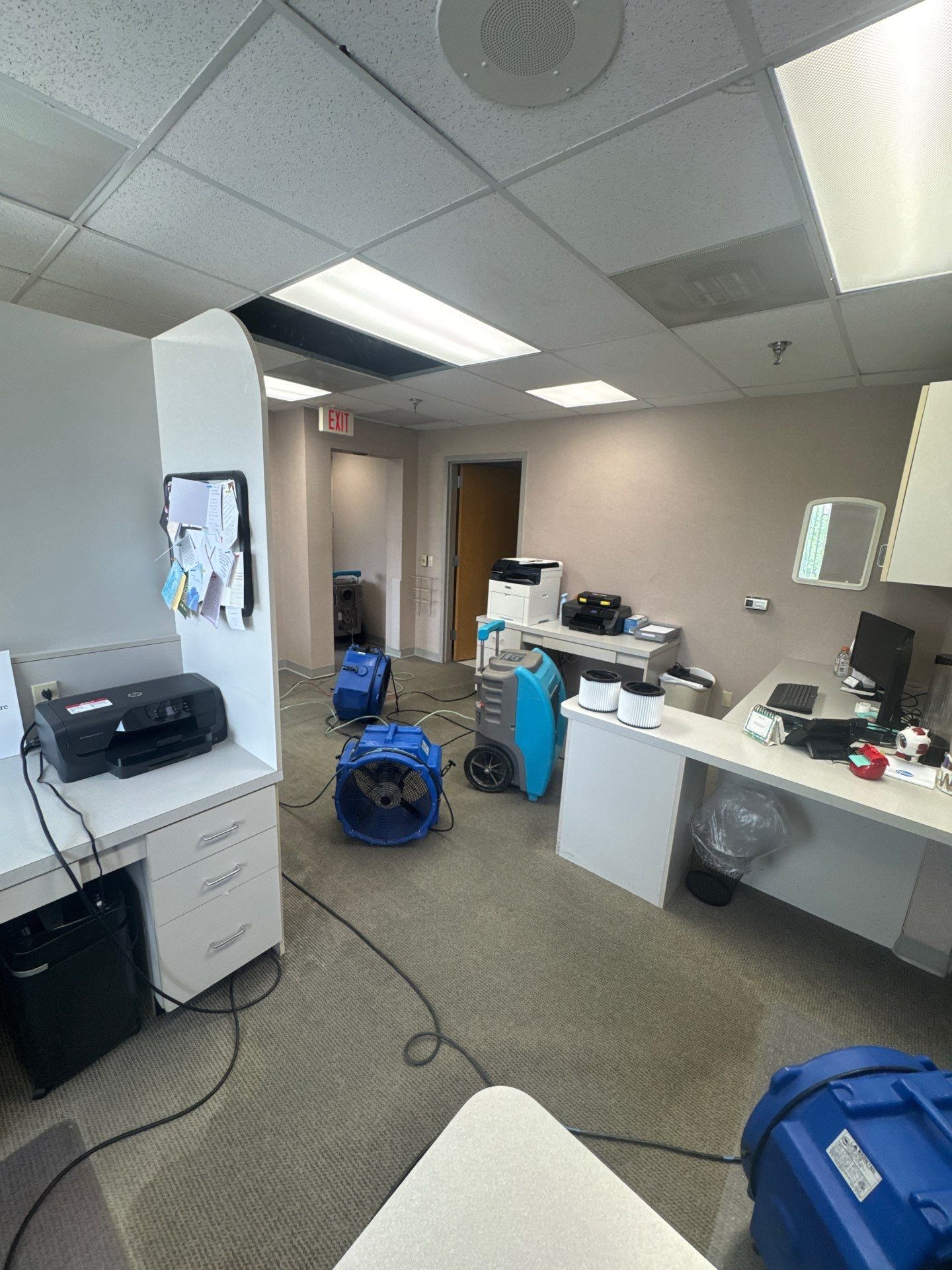 Standing water extraction underway during mold remediation in Reston, Virginia.