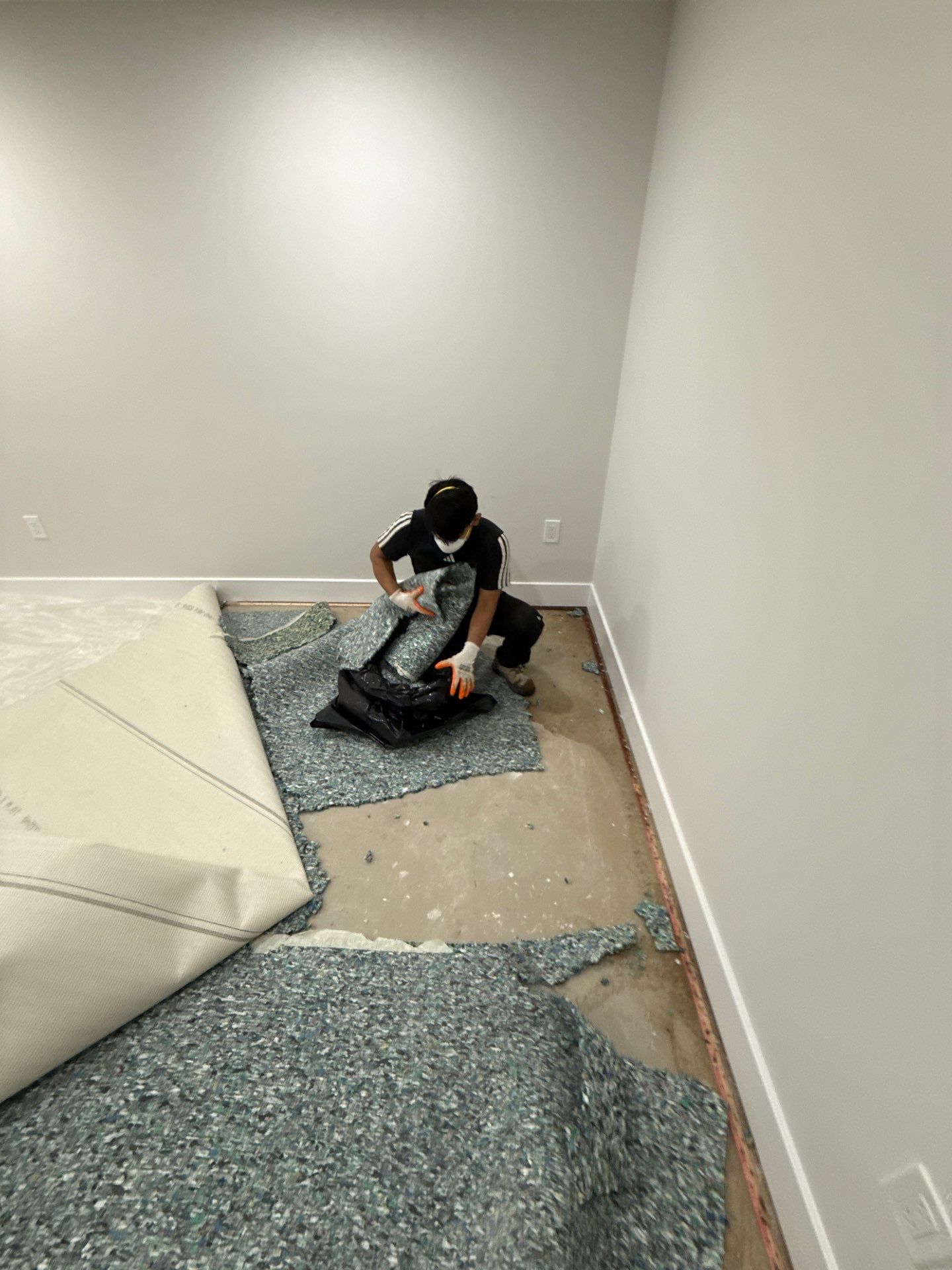 Wet subflooring exposed after carpet removal in mold remediation process.