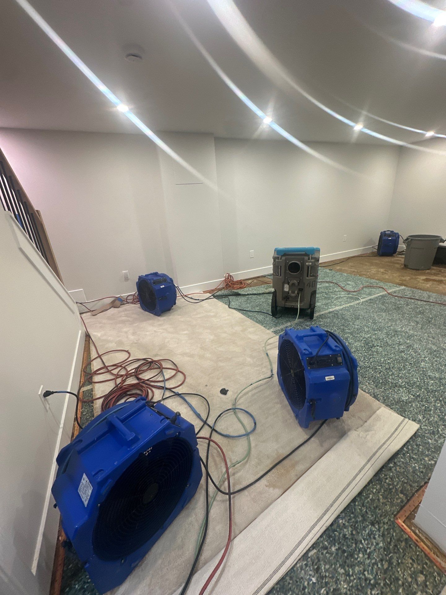 Standing water and saturated carpet in Vienna home undergoing mold remediation and water extraction.