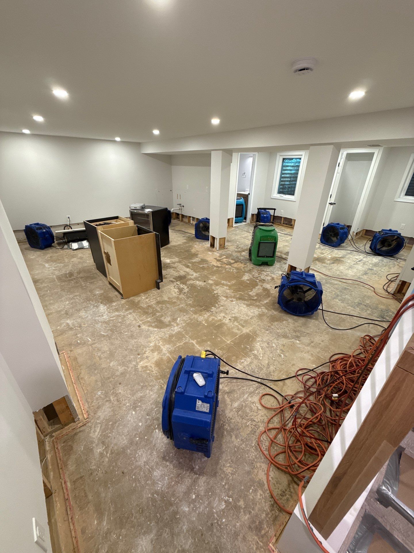 Moisture mapping and monitoring equipment positioned for drying phase of remediation.