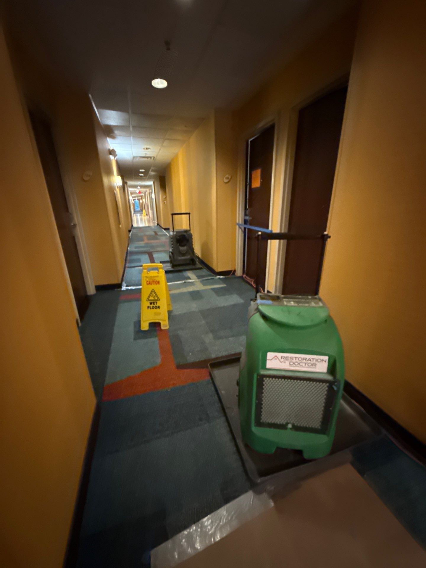 Standing water removal underway in Manassas mold remediation, extractors deployed across affected floor.