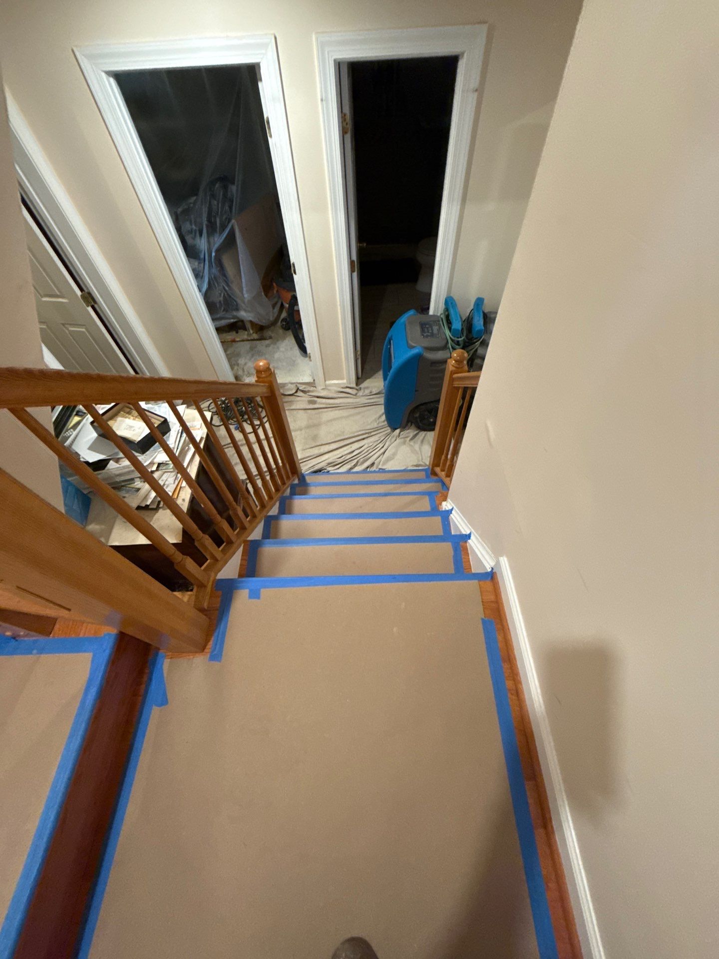 Containment and protective barriers in place during Franconia mold remediation to isolate affected zones and protect contents.
