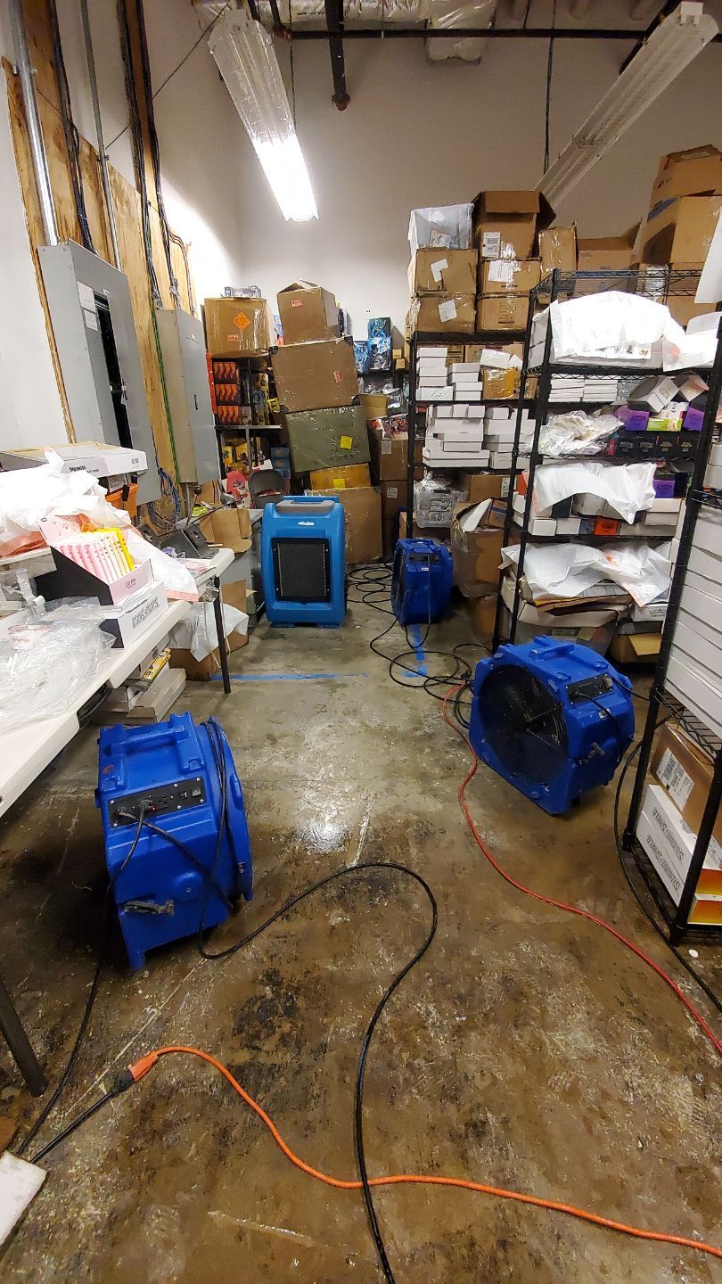 Final-stage inspection of dried structural surfaces following Springfield water damage restoration completion.