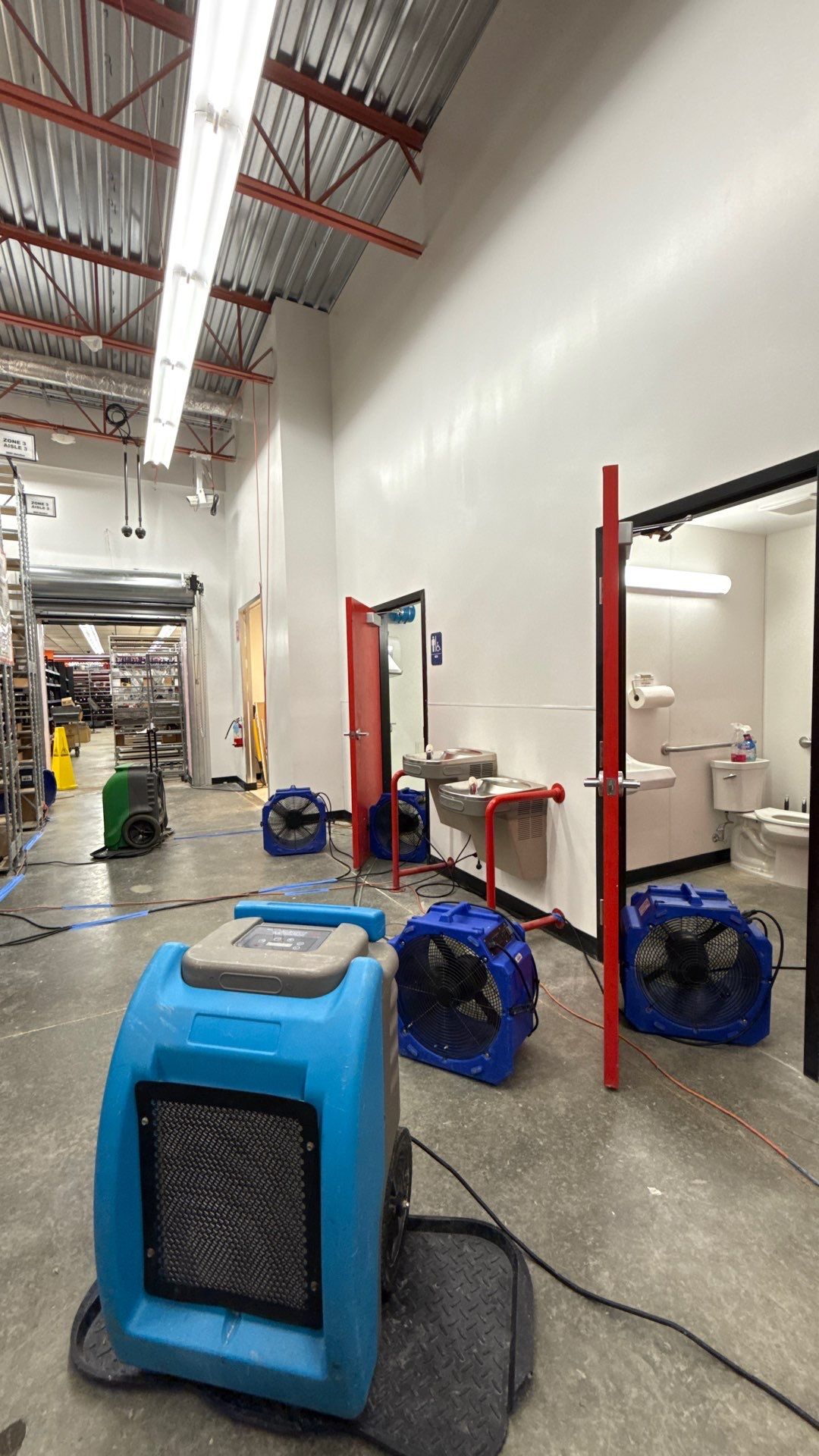 Structural drying equipment positioned to eliminate residual moisture from mold-affected areas during remediation.