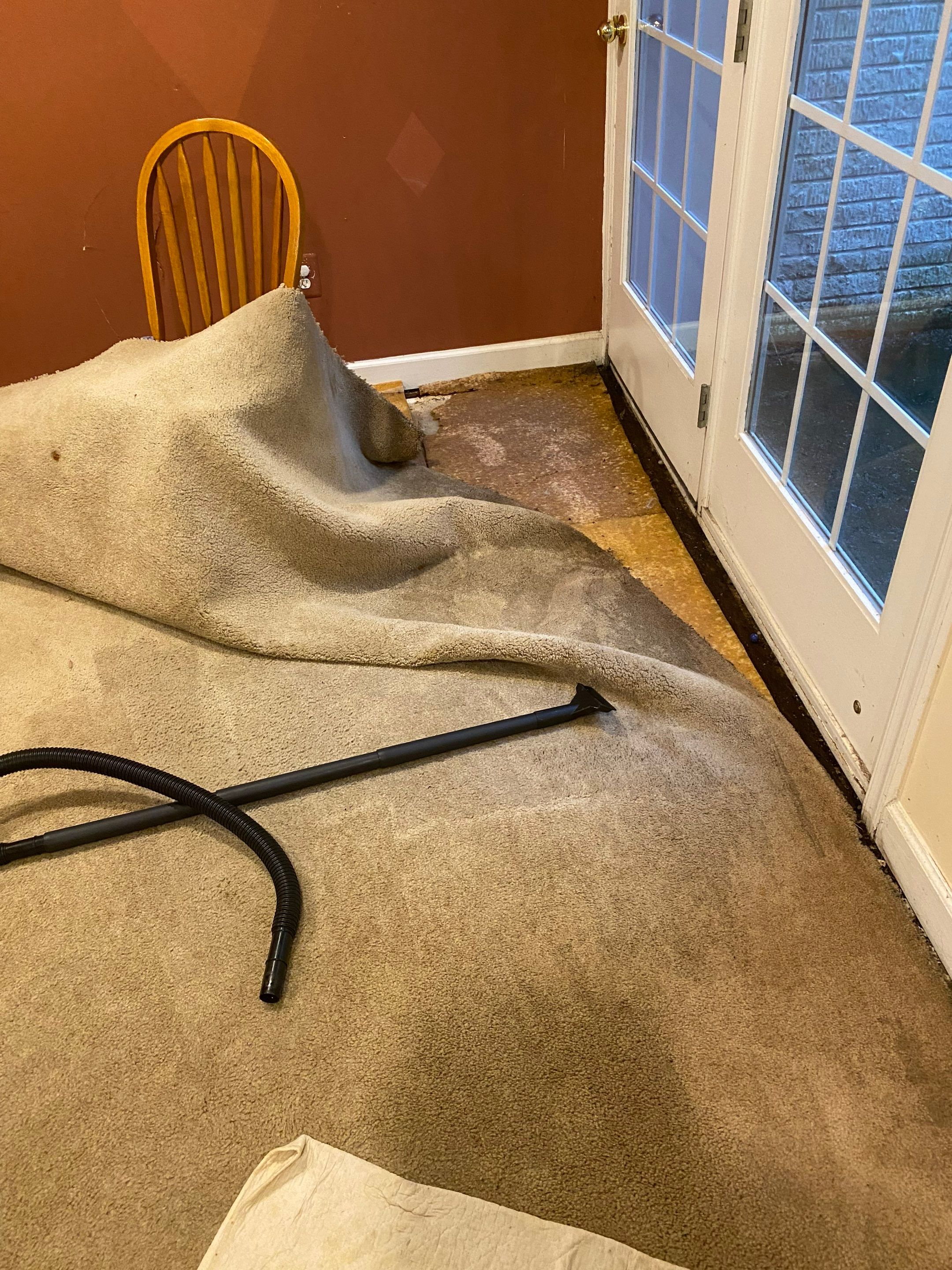 Sanitizing treatment applied to affected surfaces during water restoration drying sequence.