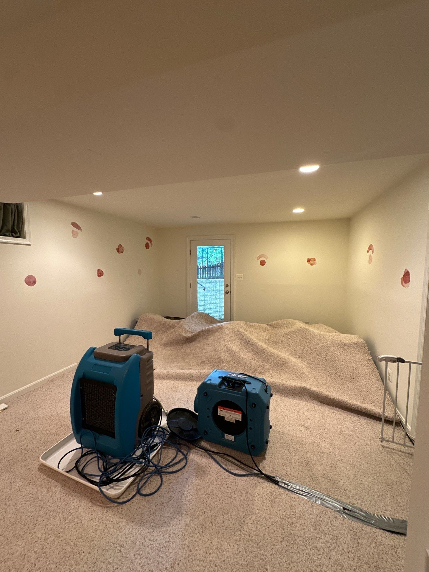Water-damaged carpet and subfloor in Sterling home during initial assessment and extraction phase.