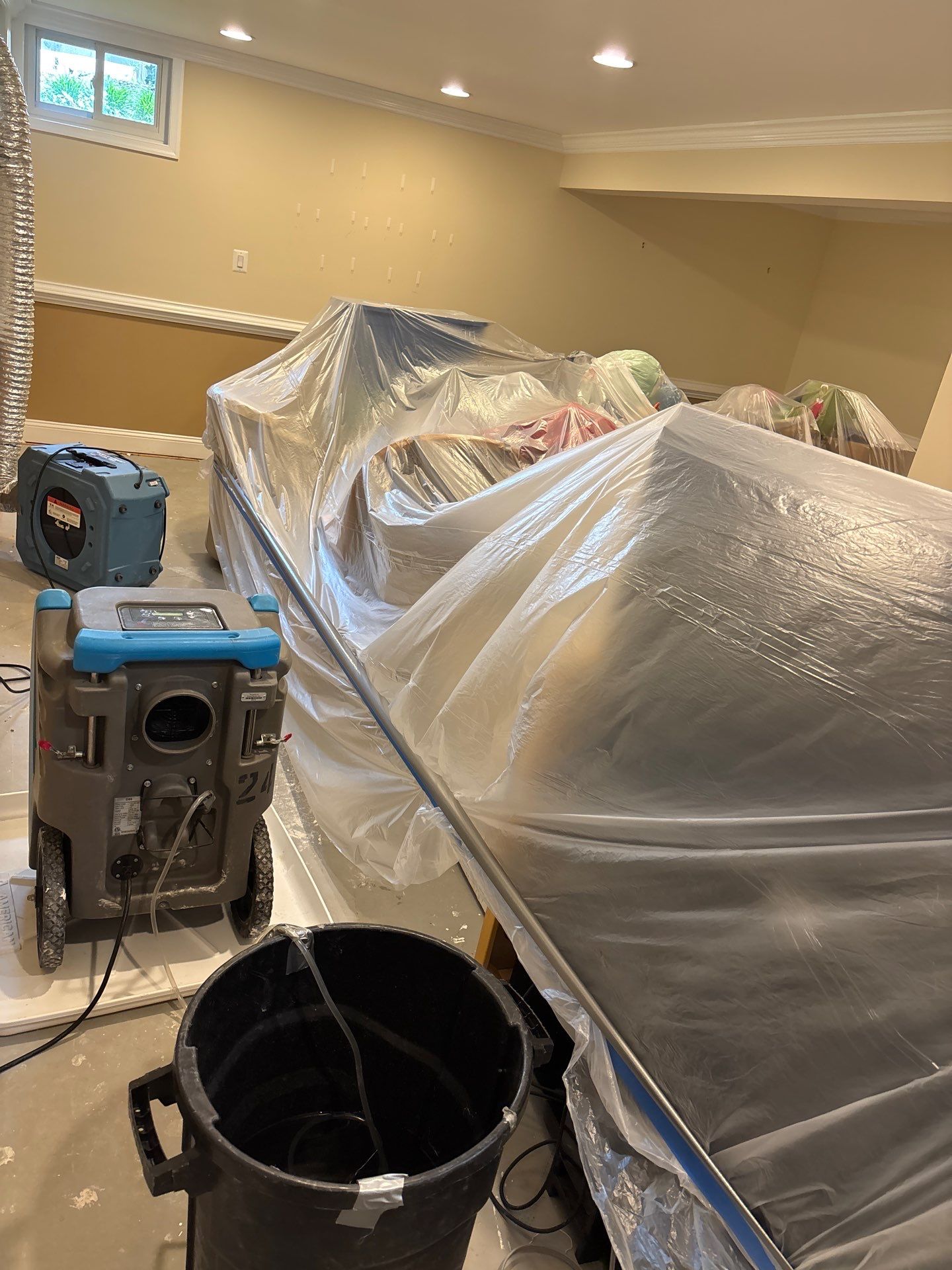 Baseboard removal and sanitizing during mold remediation work in Centreville.
