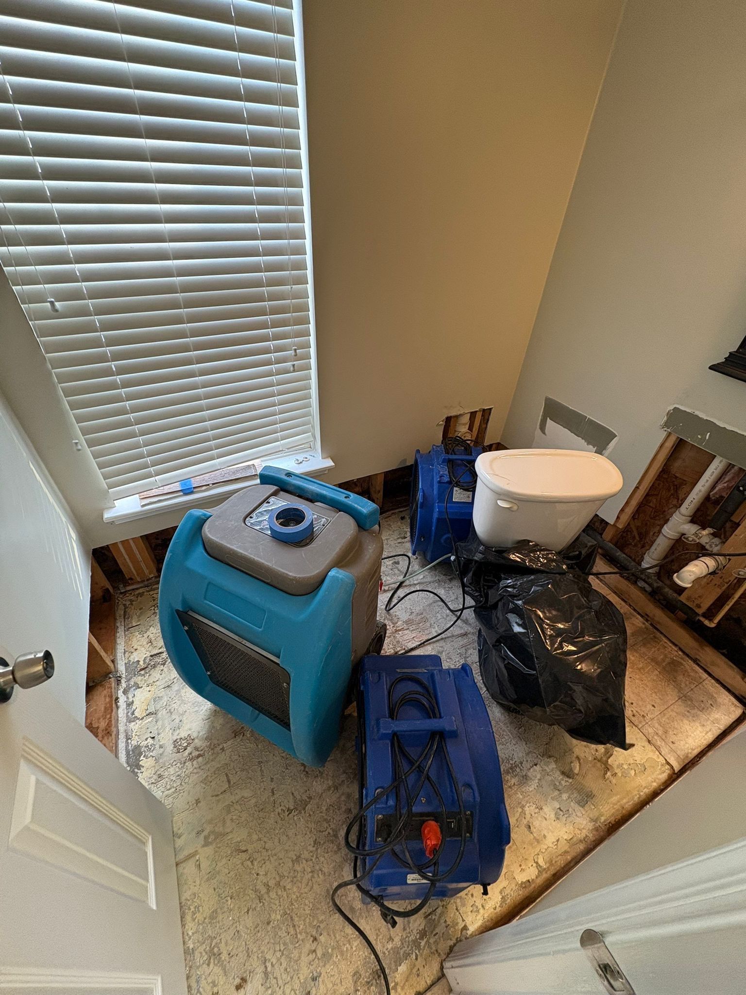 Mold remediation in Round Hill begins with structural drying equipment positioned to arrest moisture and prevent further colonization.