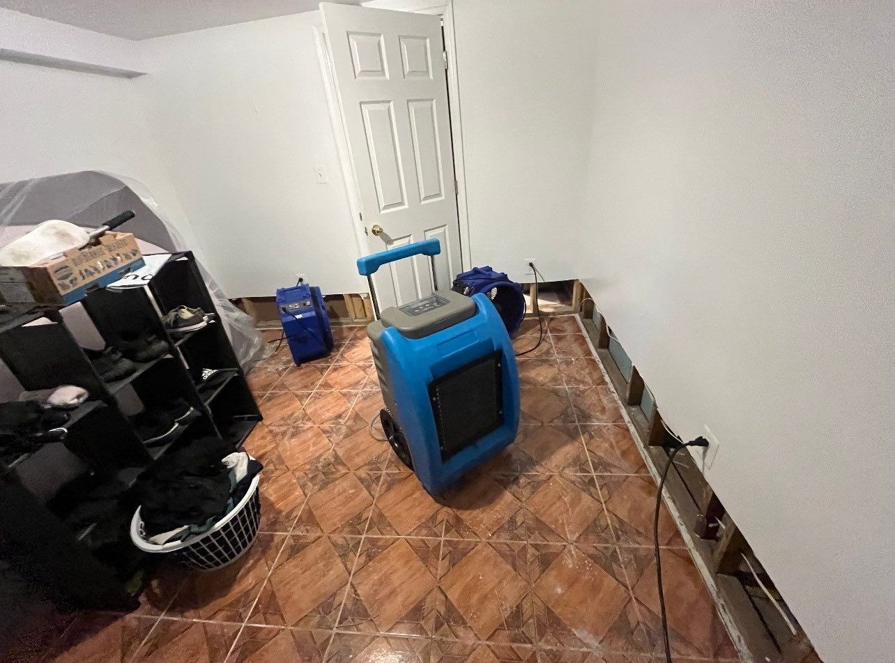 Completed water damage restoration with flooring remediation finished in Falls Church.