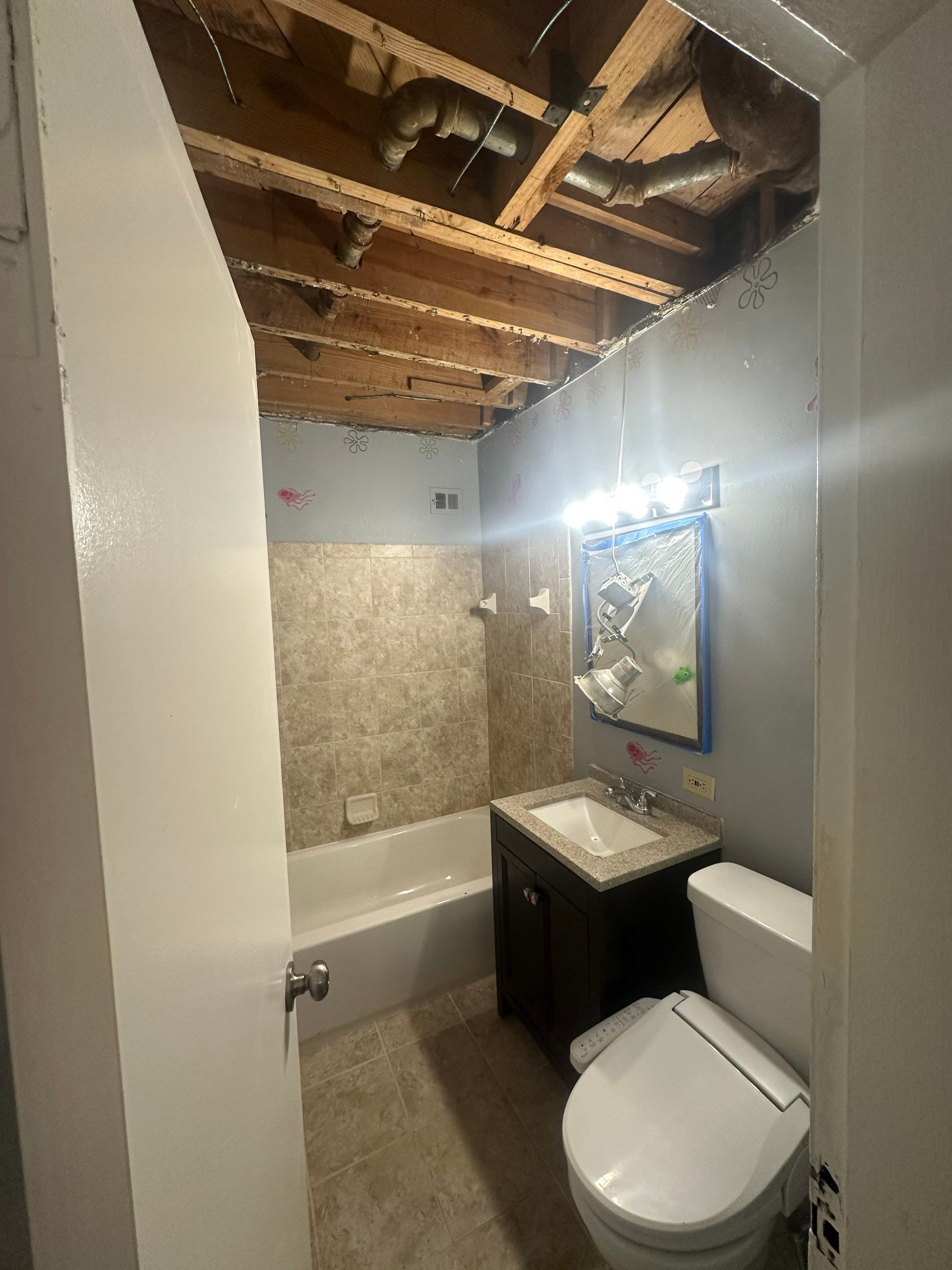 Ceiling section opened to expose moisture-affected framing during mold remediation inspection.