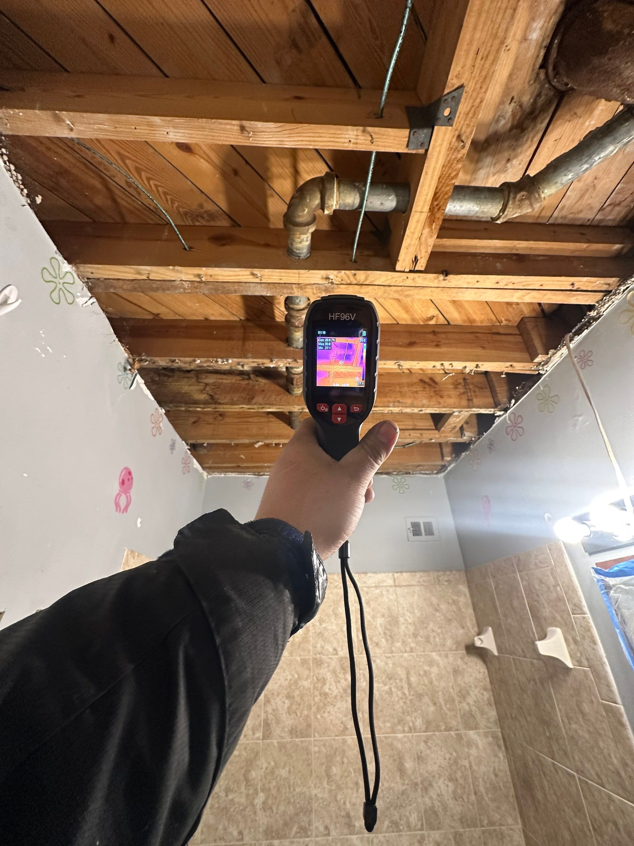 Thermal imaging reveals moisture patterns in ceiling cavity during Alexandria mold remediation assessment.