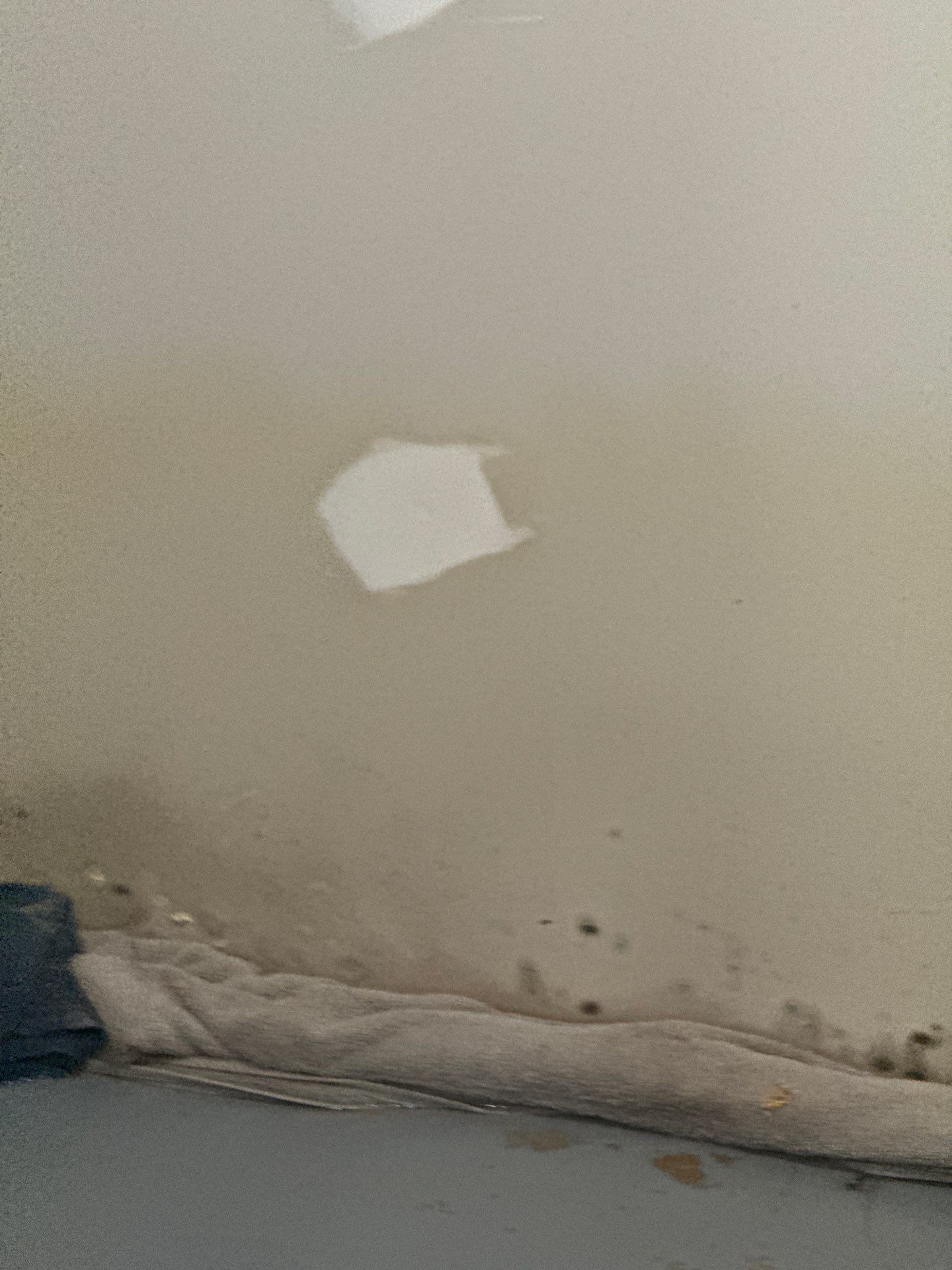 Final moisture inspection with thermal imaging completing water damage restoration in Falls Church.
