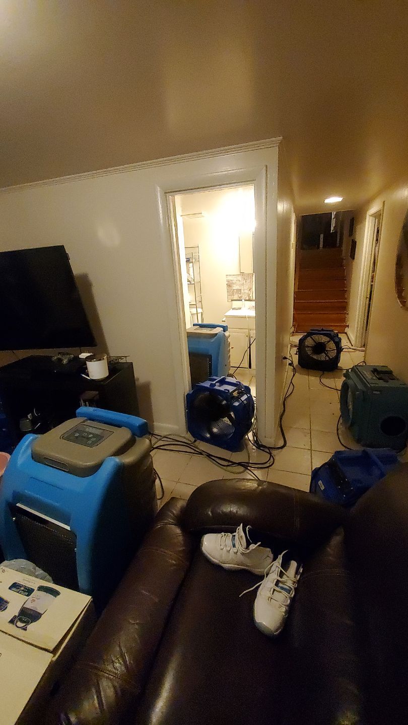 Air movers positioned for moisture removal and circulation during active drying.