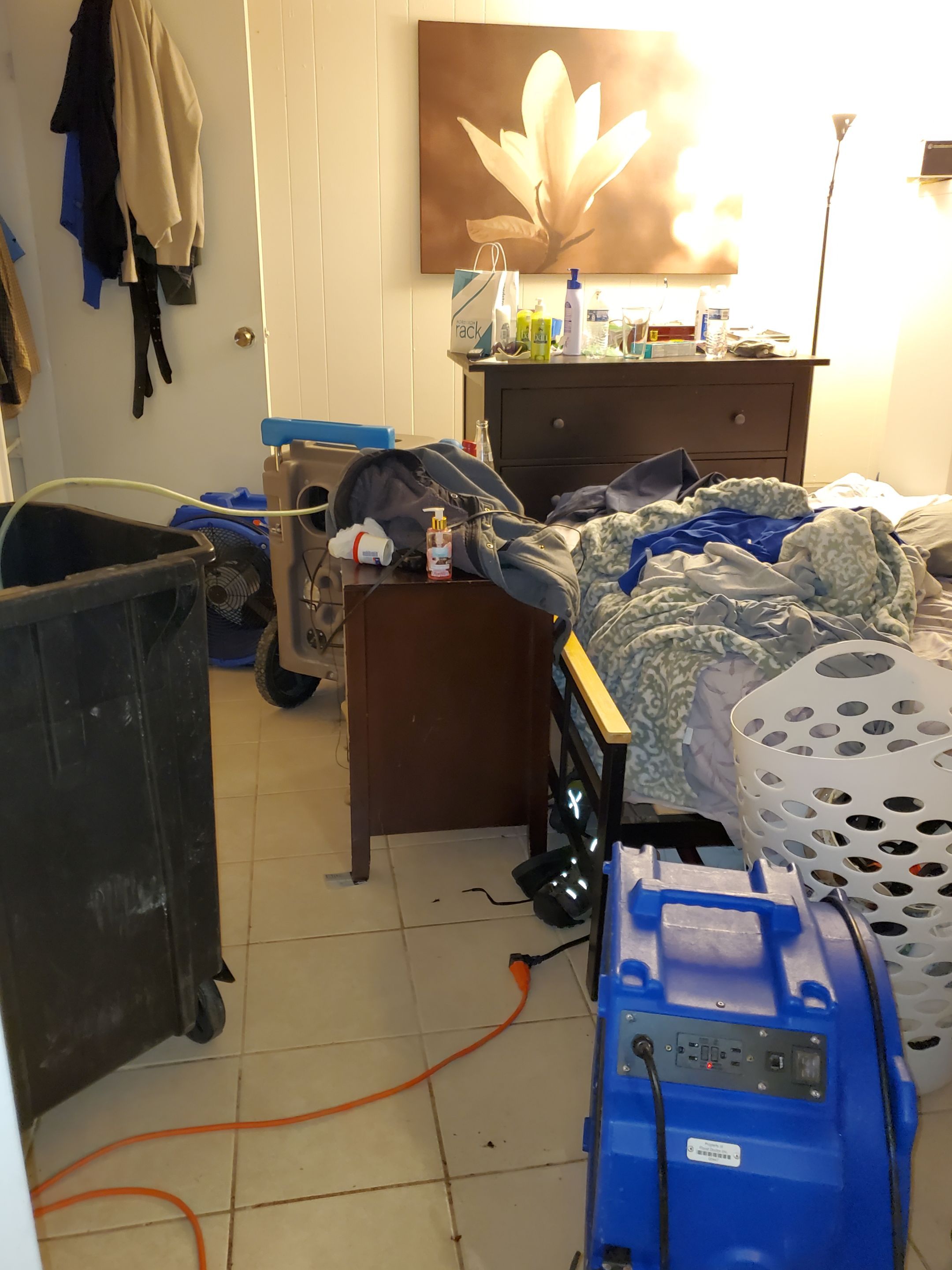 Continued dehumidification monitoring as structural materials progress through drying cycle.