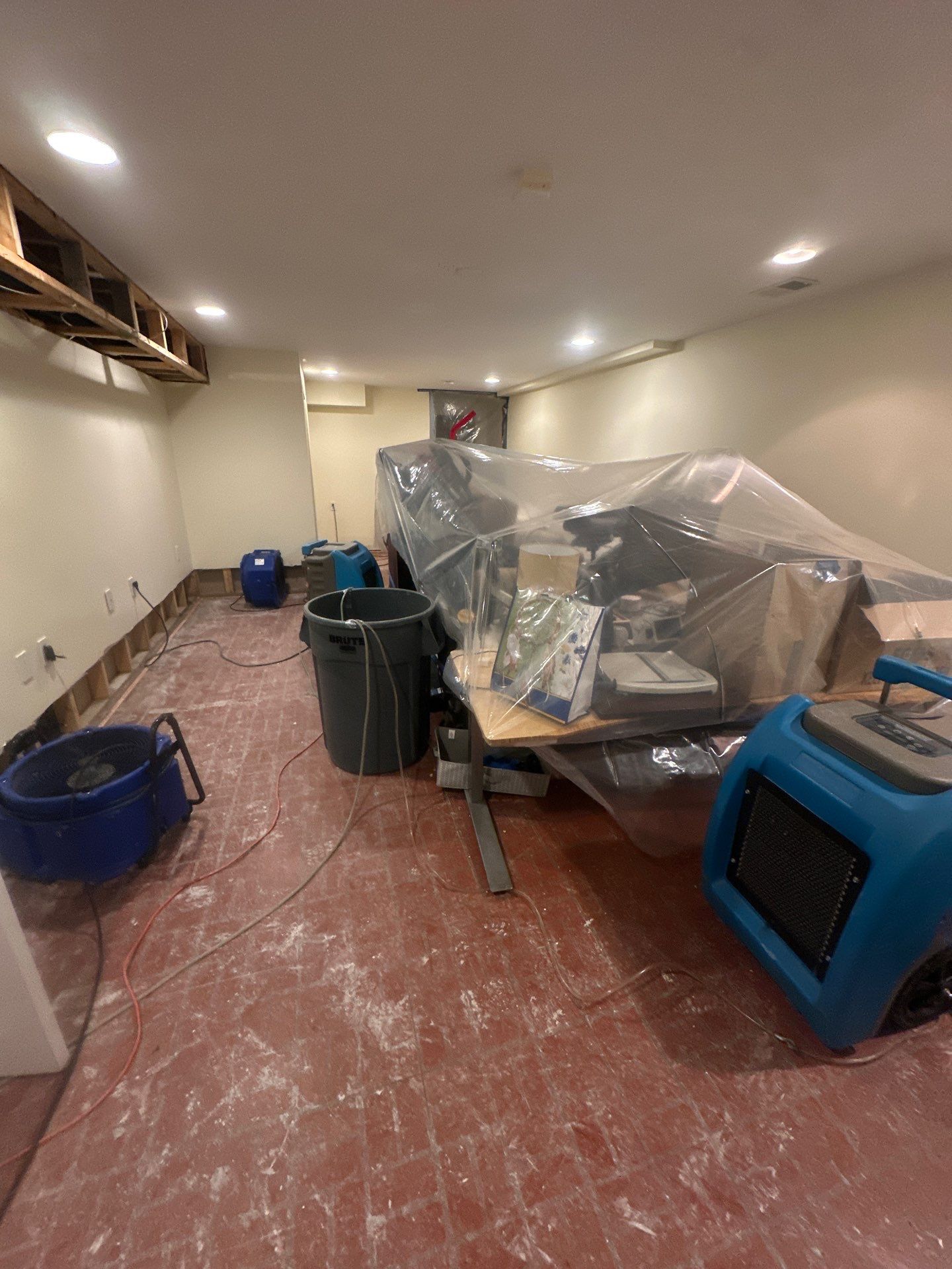 Finished ceiling repair after mold remediation and drywall replacement in Centreville.