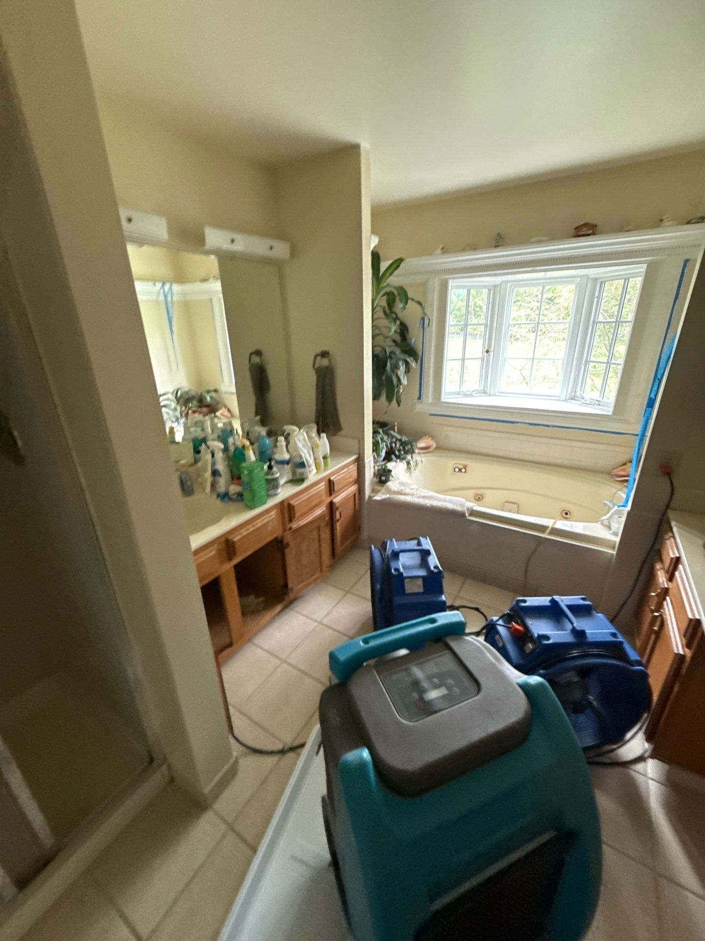 Containment barrier installed during mold remediation in Clifton, isolating affected area.