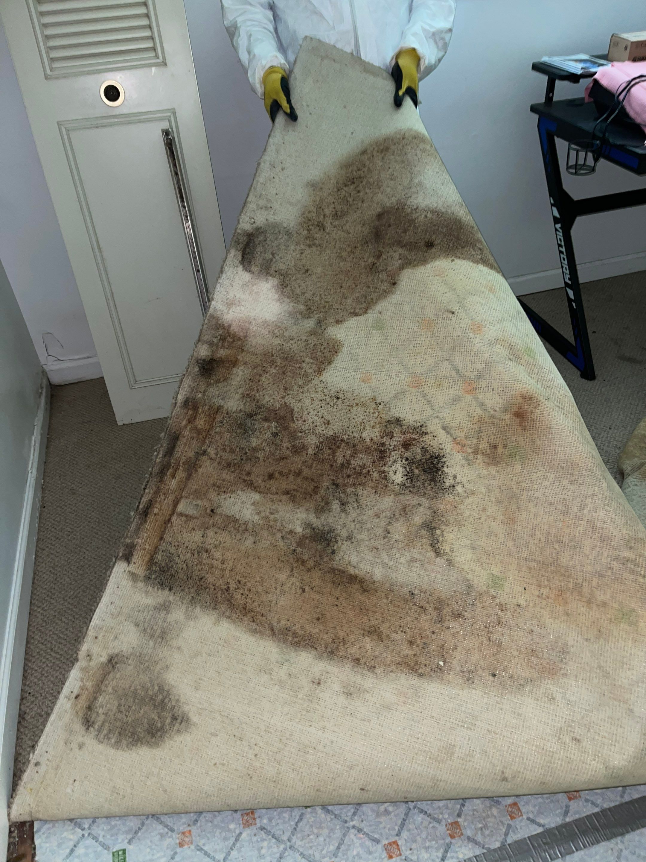 Thermal imaging camera documenting moisture distribution during water damage assessment in Burke.