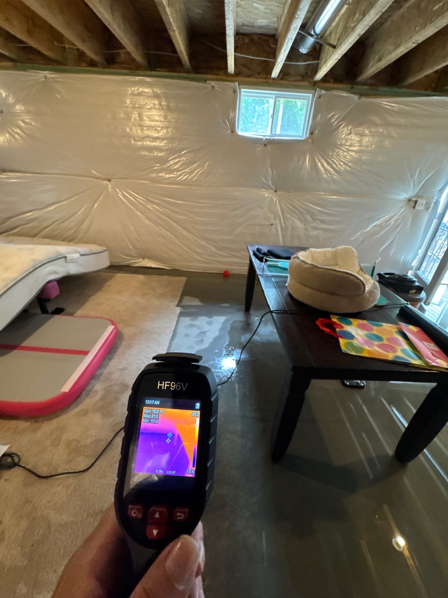 Final thermal inspection confirms moisture remediation in Fredericksburg water damage job.