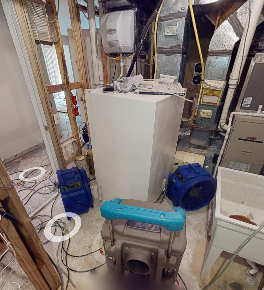 Carpet and flooring remediation underway as part of water damage restoration sequence.