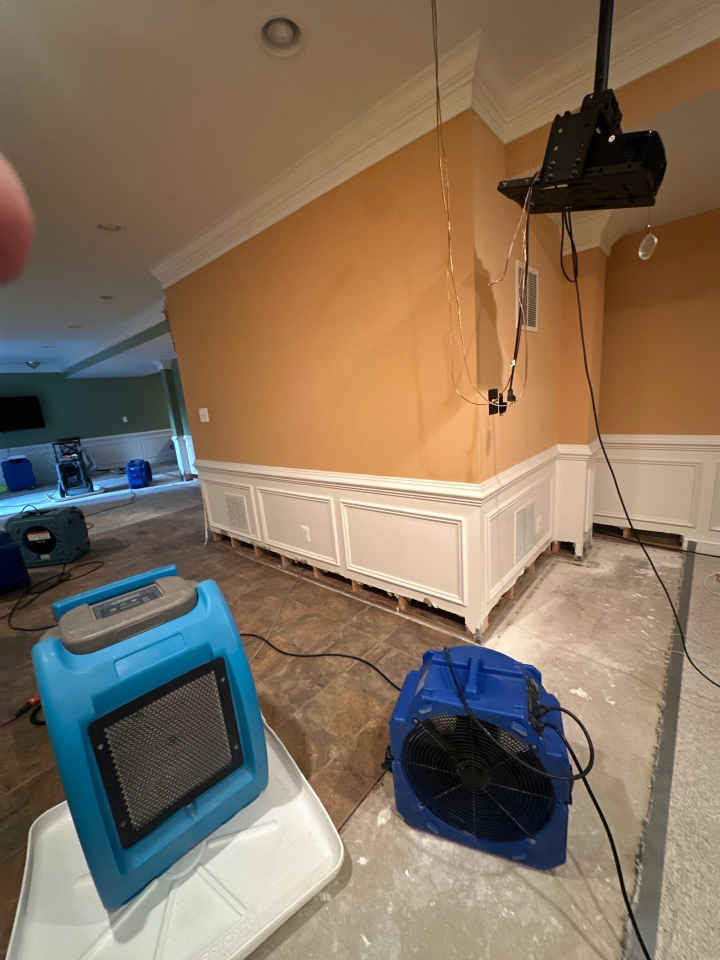 Standing water removal begins mold remediation in Haymarket home, extraction equipment deployed across affected flooring.