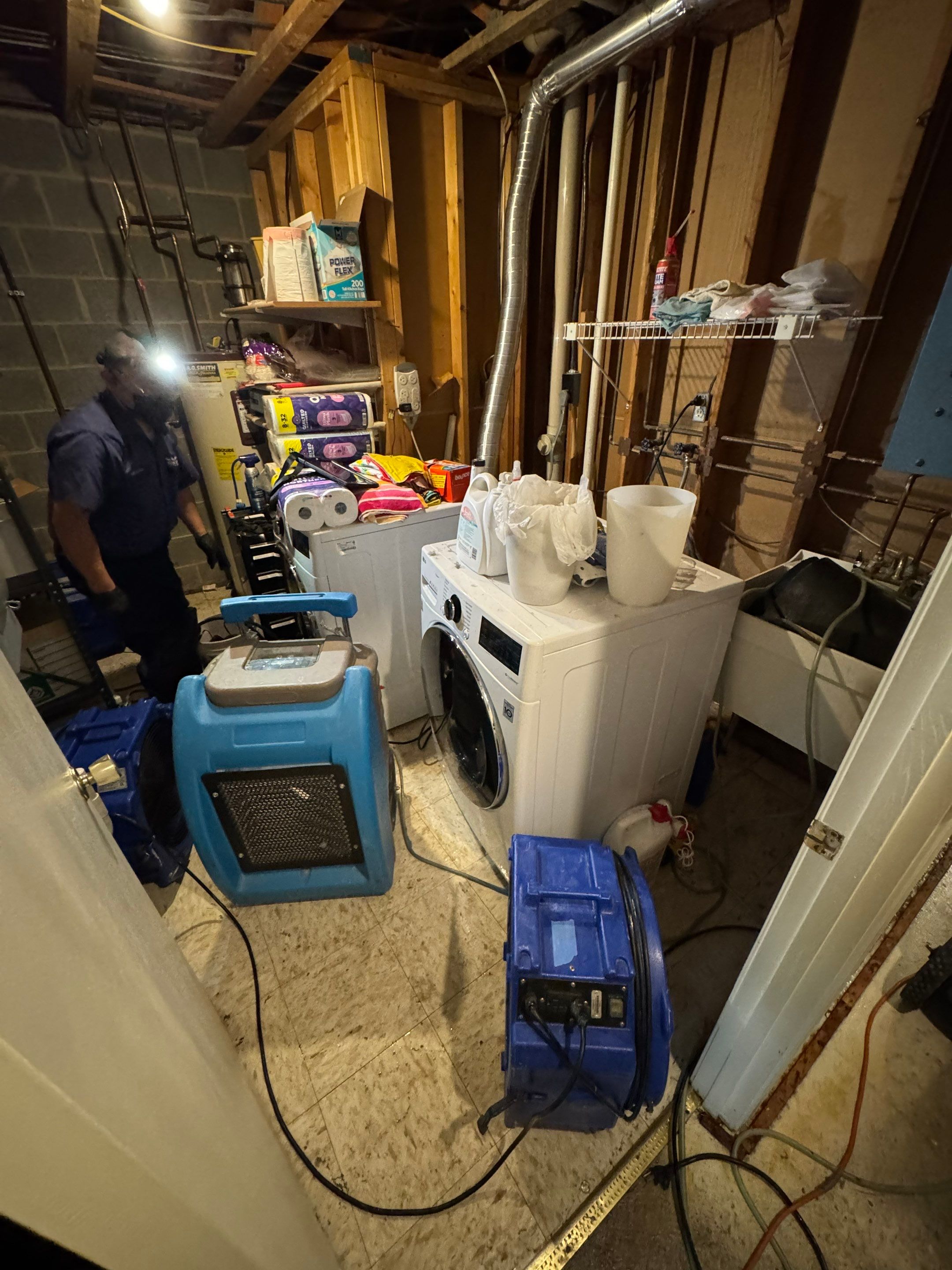 Completed mold remediation with structural integrity restored in McLean.