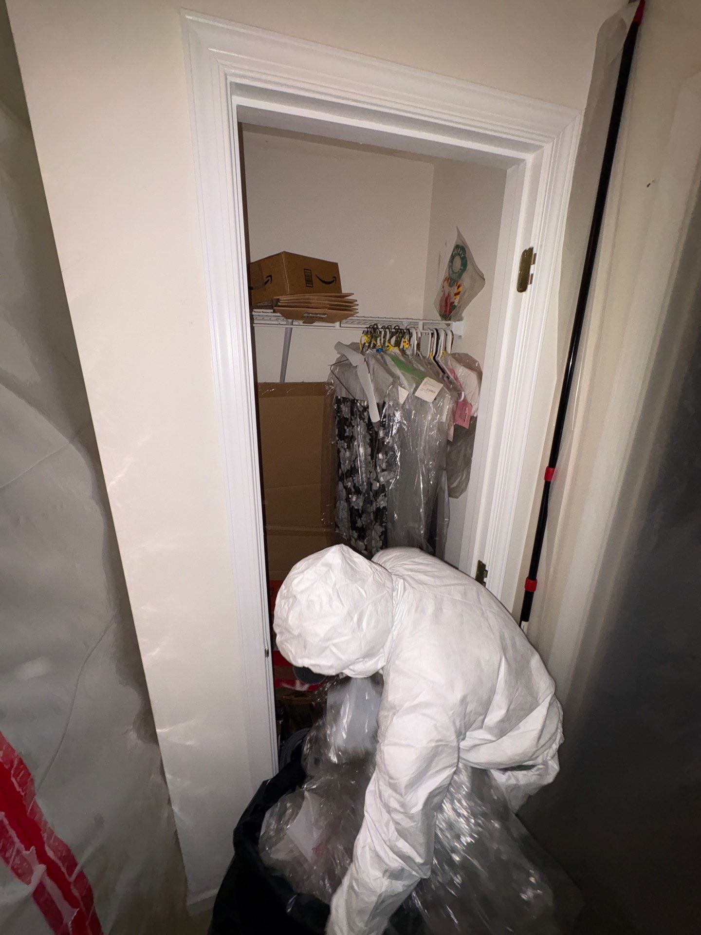 Containment barrier and negative air management isolate the remediation zone during active mold removal.
