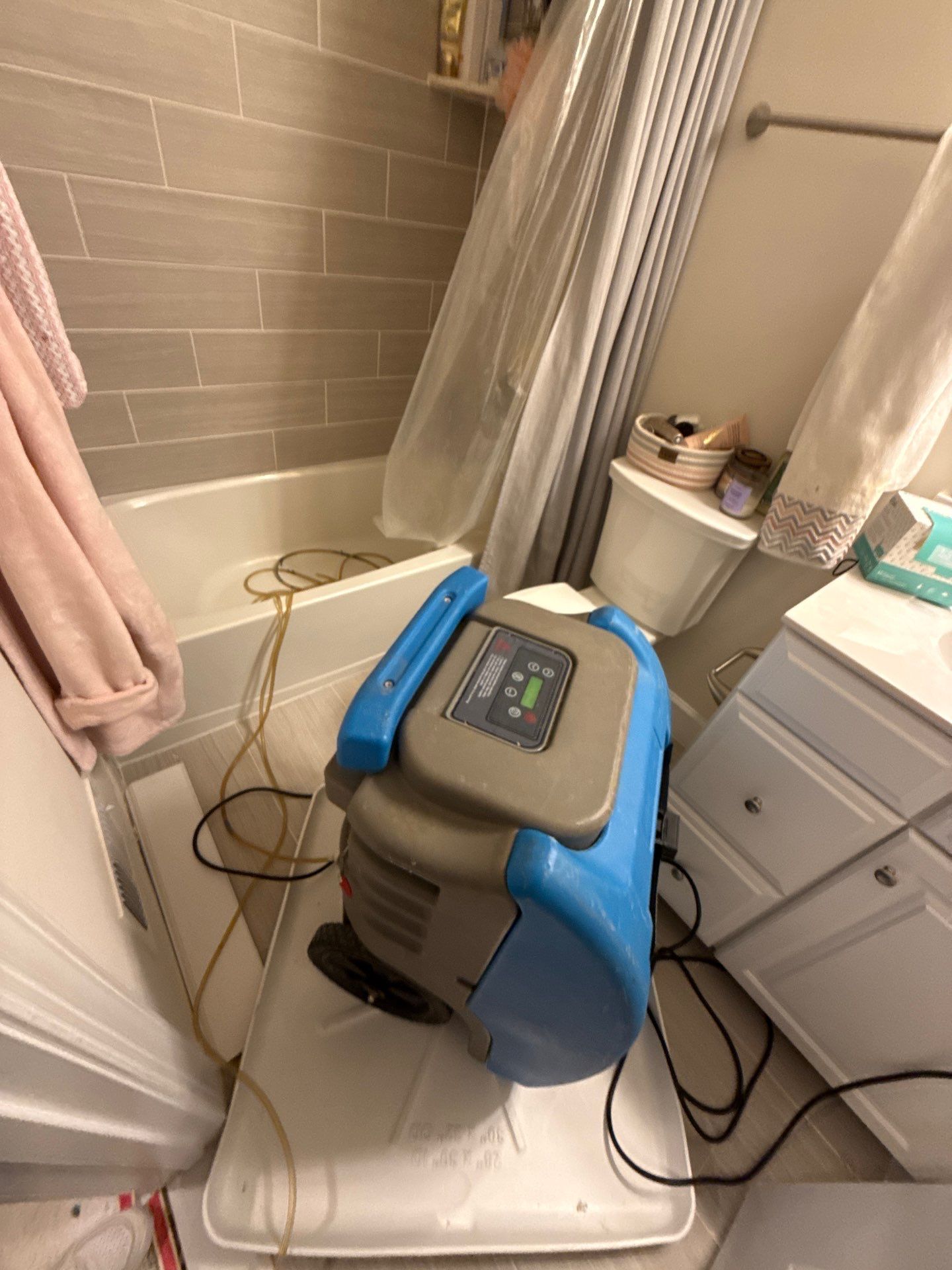 Structural drying equipment positioned within containment during mold remediation.