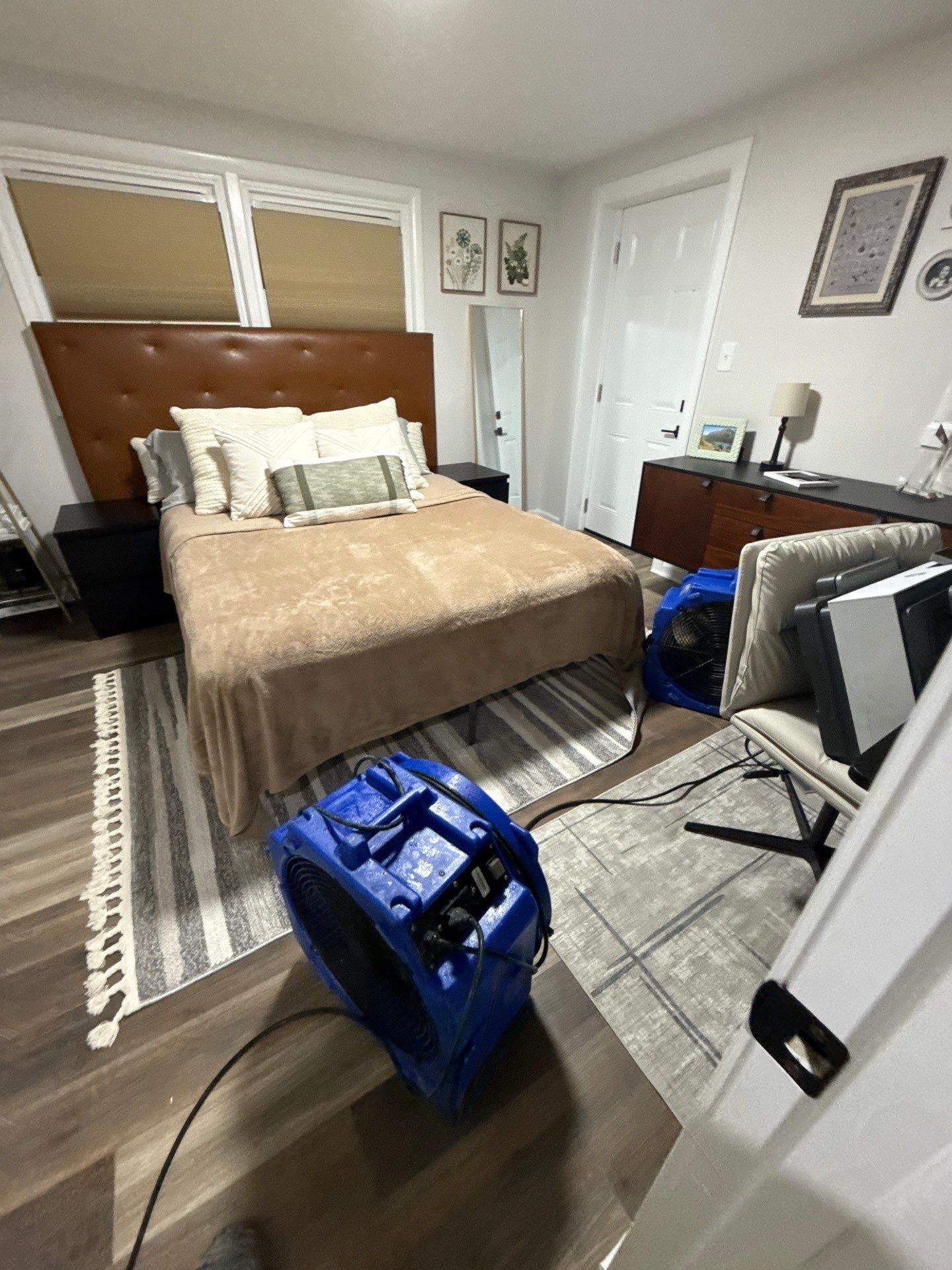 Containment barrier and negative air setup during active mold remediation in Alexandria.