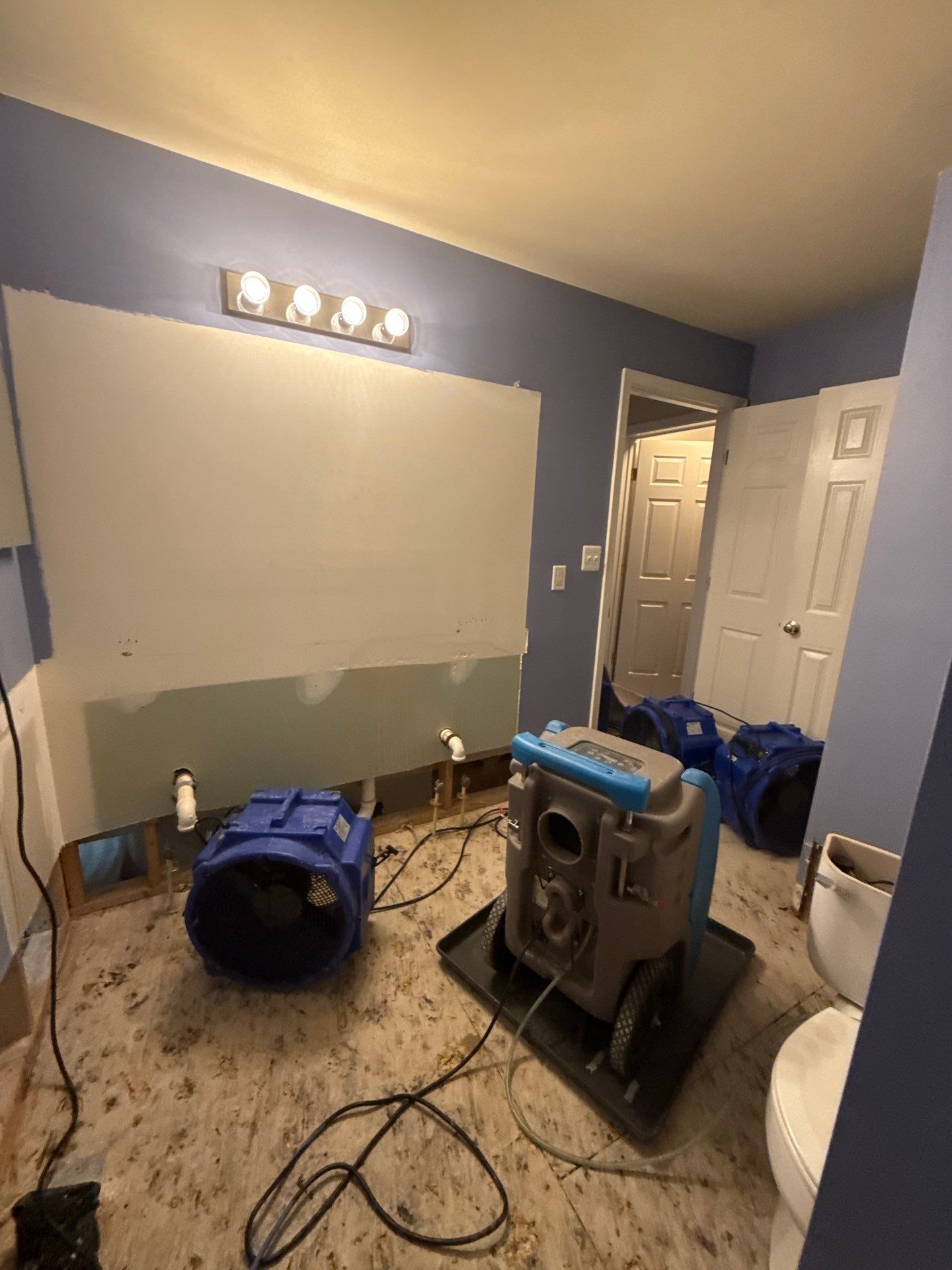 Containment and sanitizing application underway during mold remediation process.
