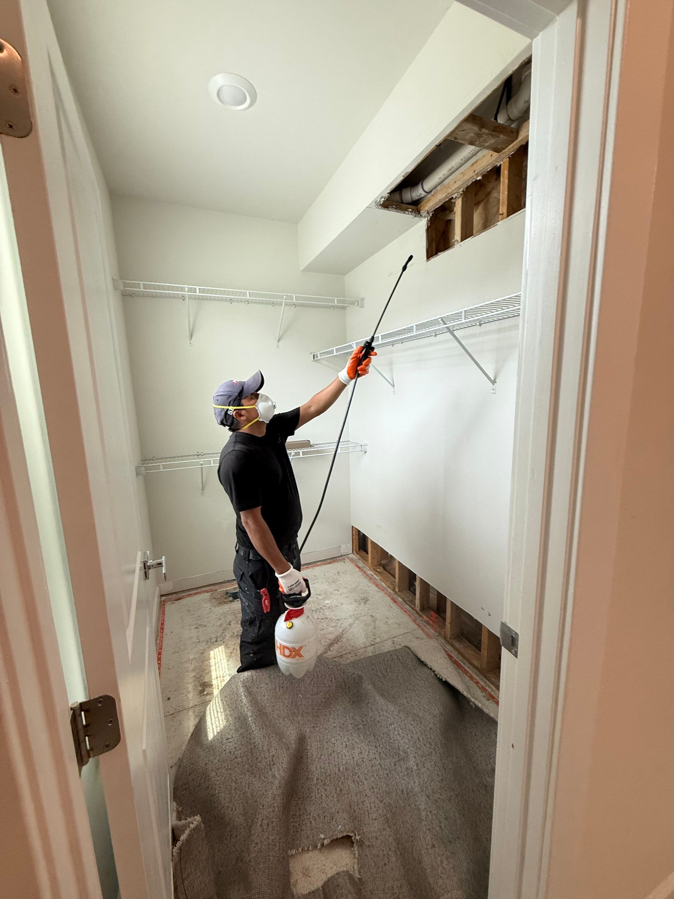 Structural drying equipment positioned to arrest moisture and prevent further mold colonization.