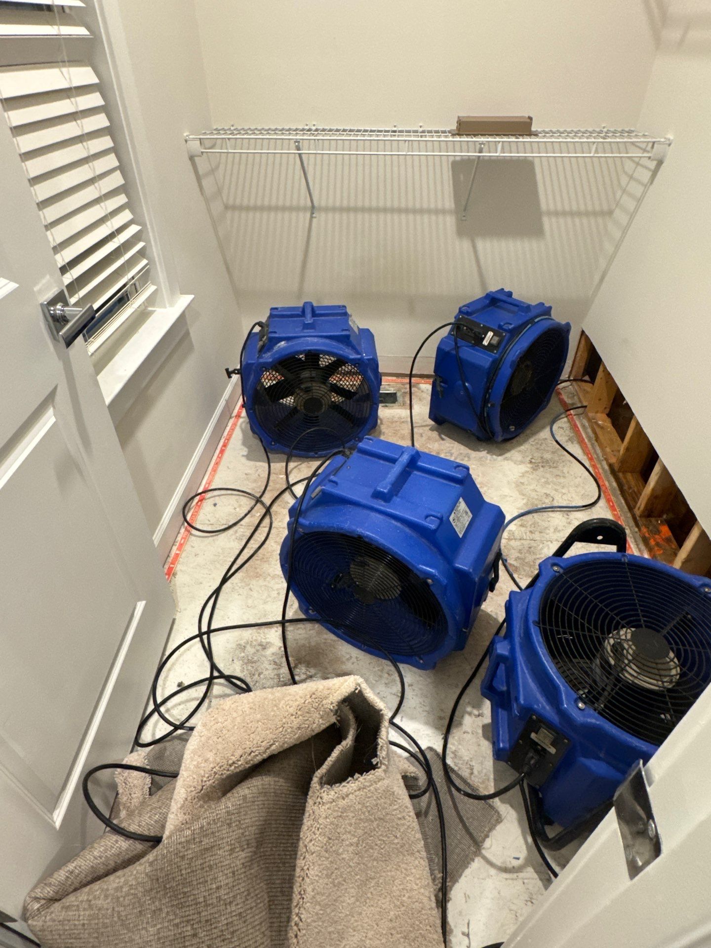 Mold remediation underway in Herndon: affected flooring and carpet marked for removal during initial assessment.