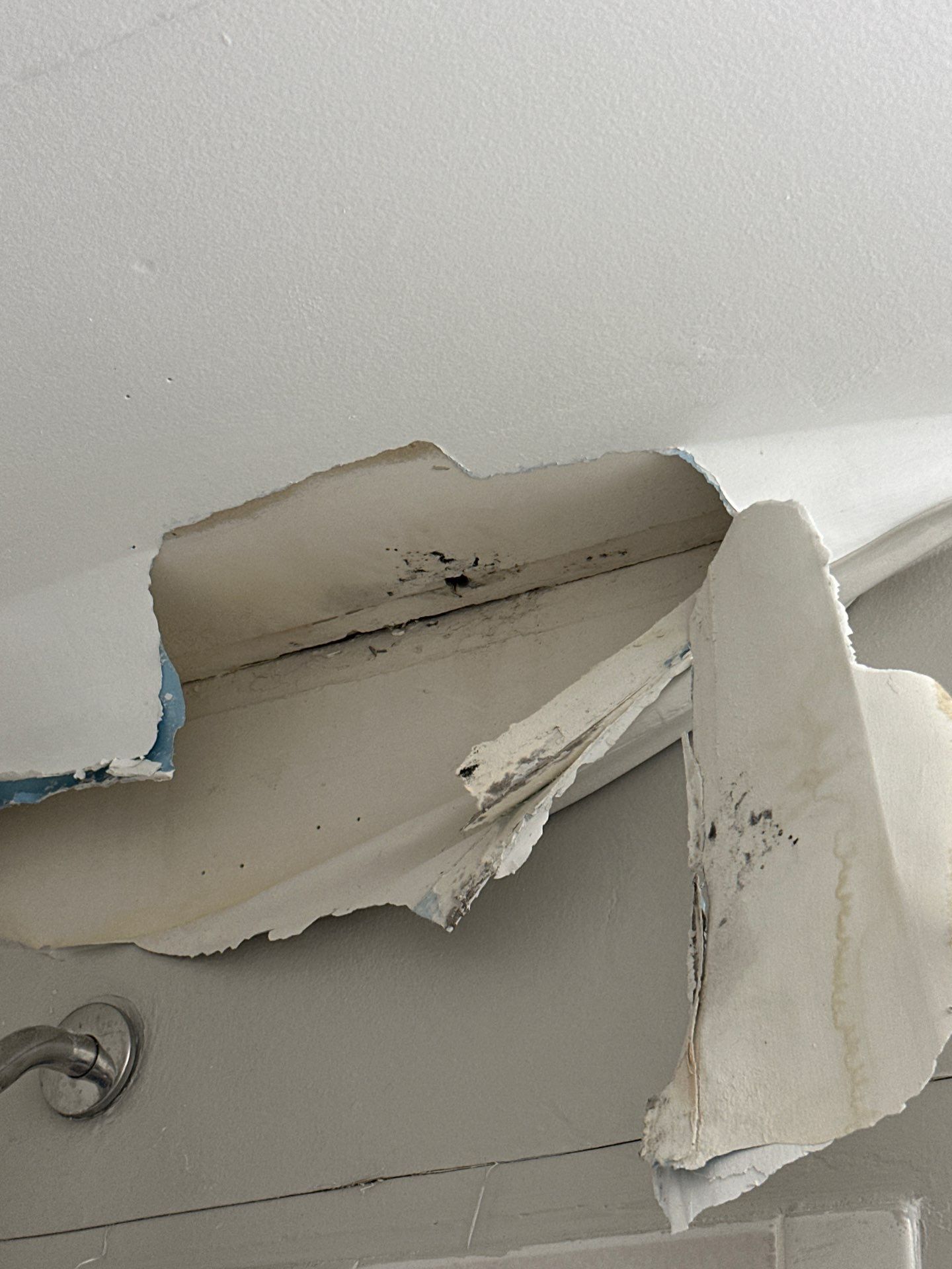 Antimicrobial application and drying equipment in place to arrest mold and restore moisture balance.
