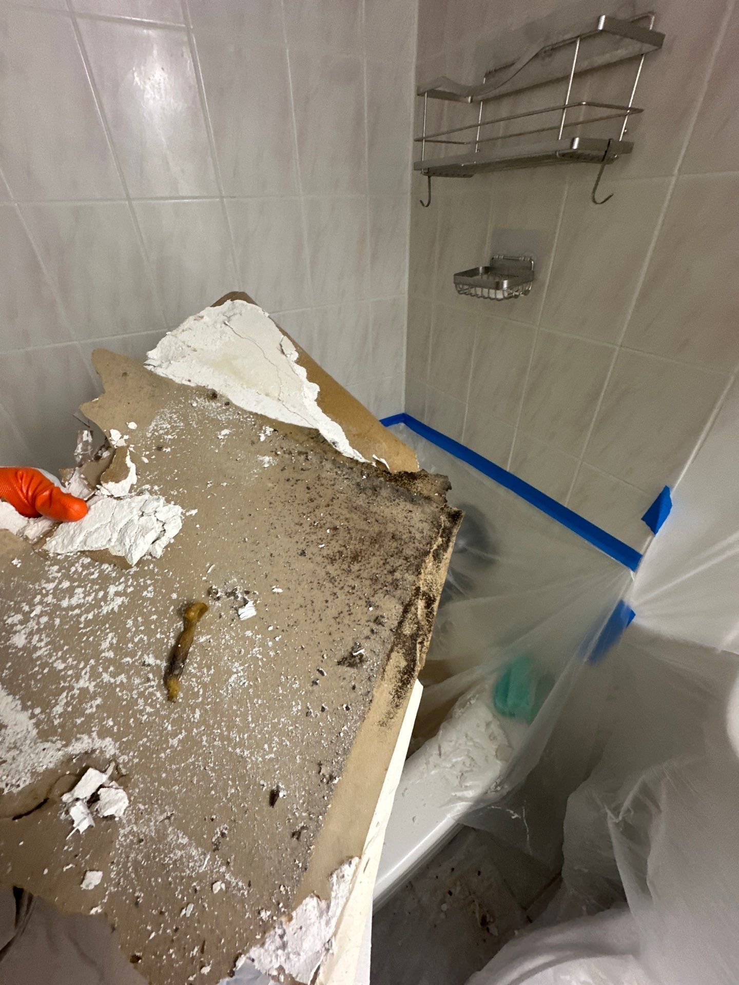 Water-damaged ceiling with discoloration and mold growth in Annandale before restoration work begins.