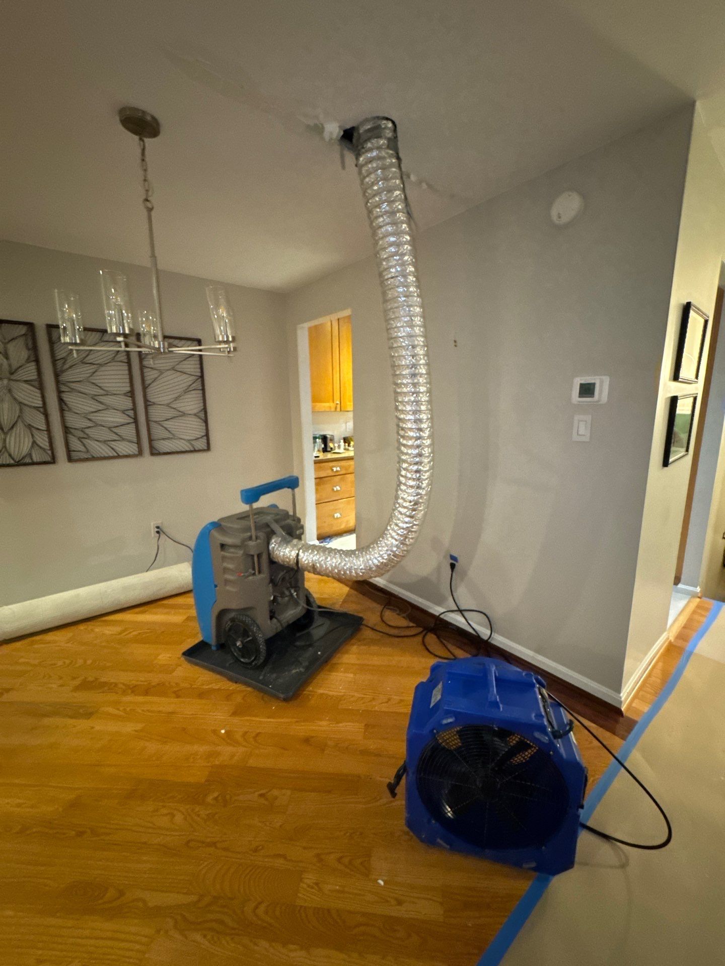 Flooring and carpet removal underway as part of Springfield mold remediation scope, exposing substructure for treatment.