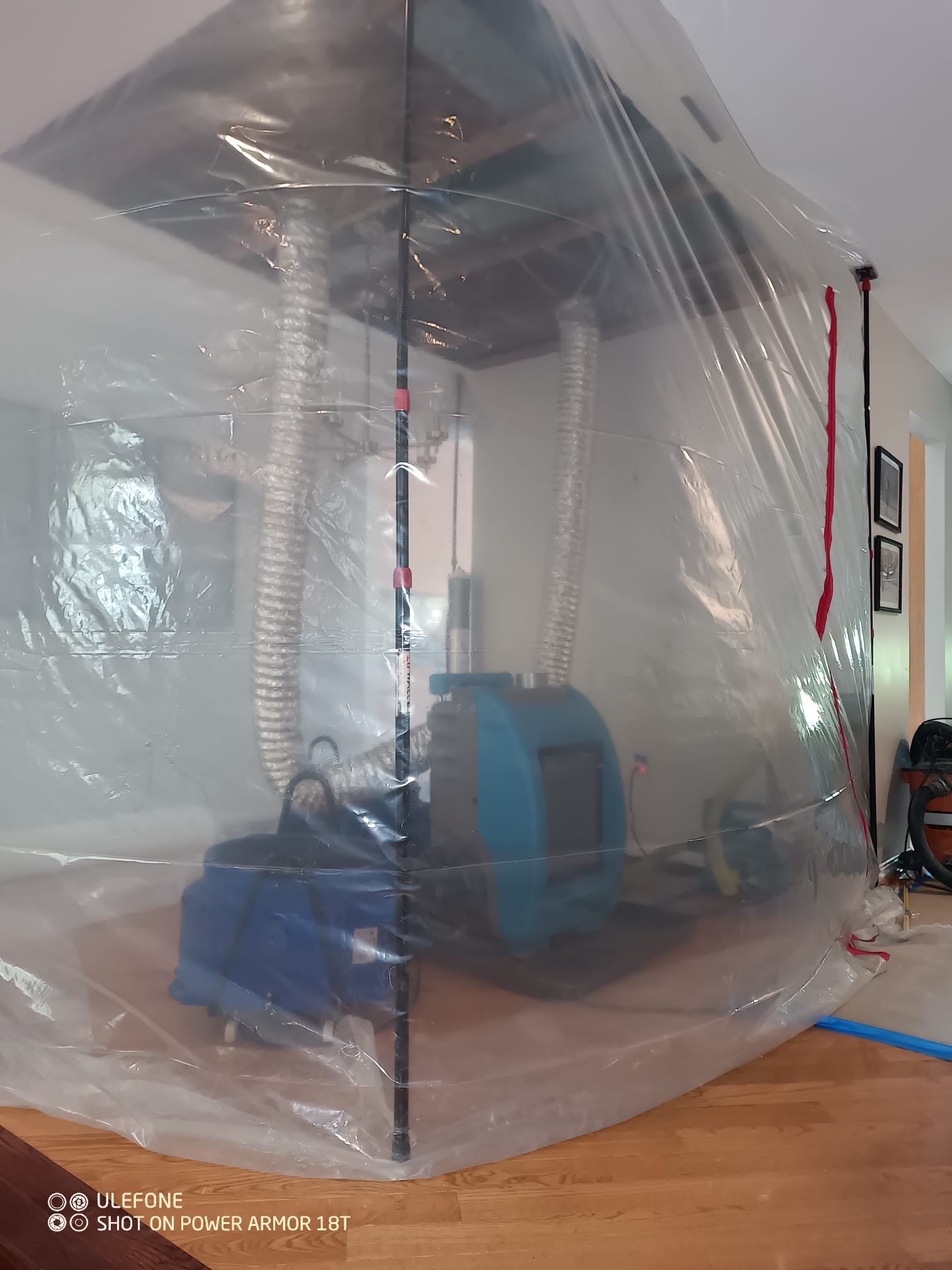 Mold remediation in Springfield begins with structural drying equipment positioned to remove moisture from affected areas.
