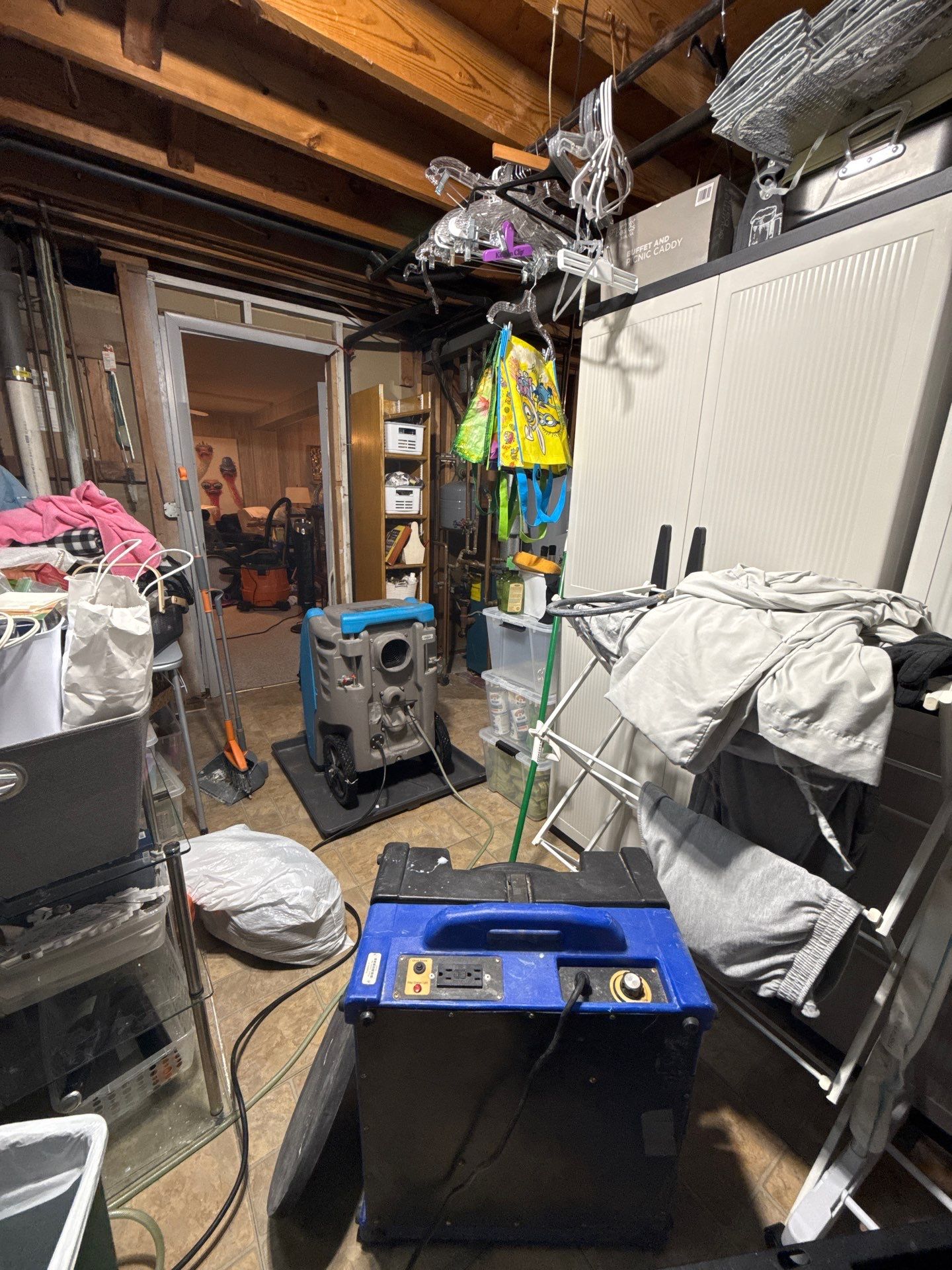 Thermal imaging inspection identifying moisture patterns in affected building materials.