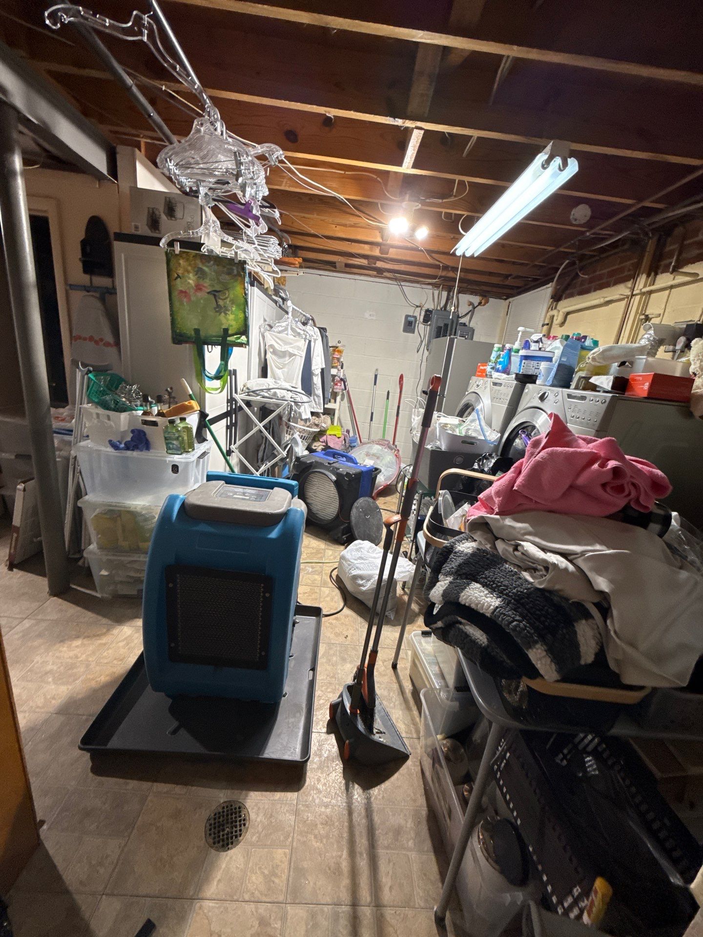 Dehumidification equipment deployed to reduce ambient moisture during mold remediation.