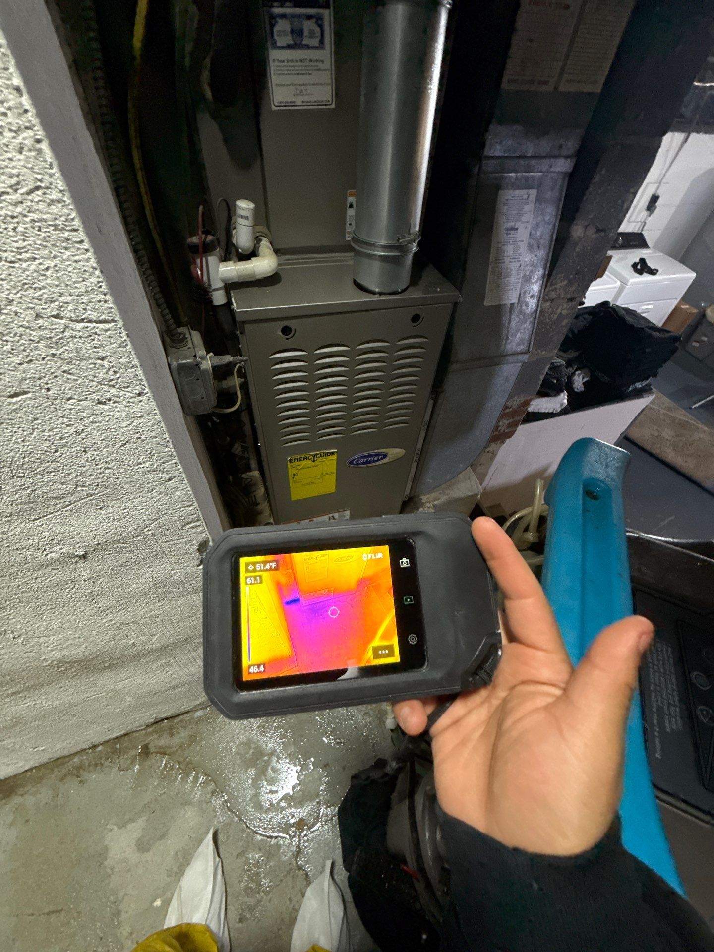 Moisture mapping and structural drying phase of mold remediation work.