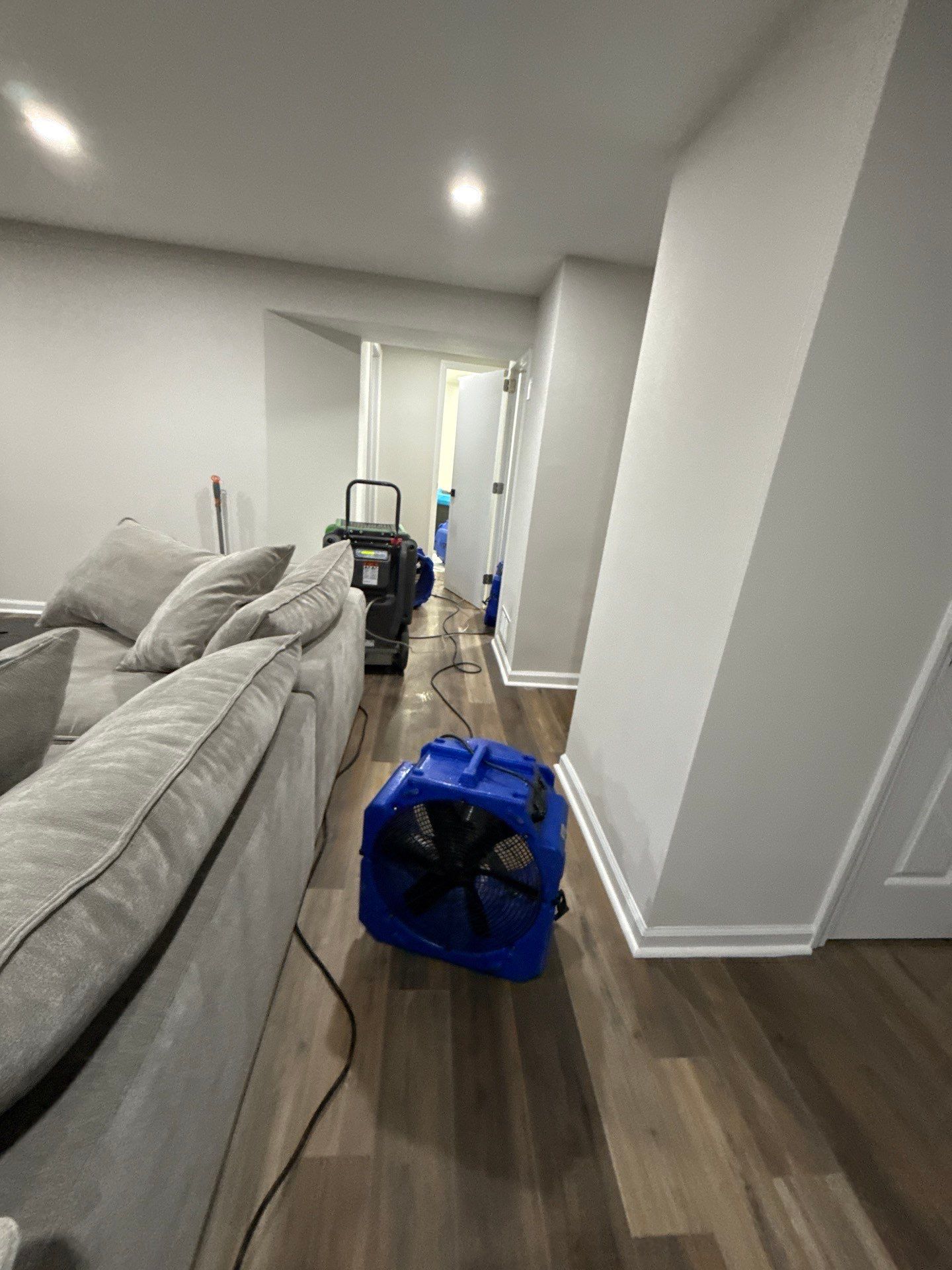 Standing water extraction and thermal imaging inspection during mold remediation in Alexandria.